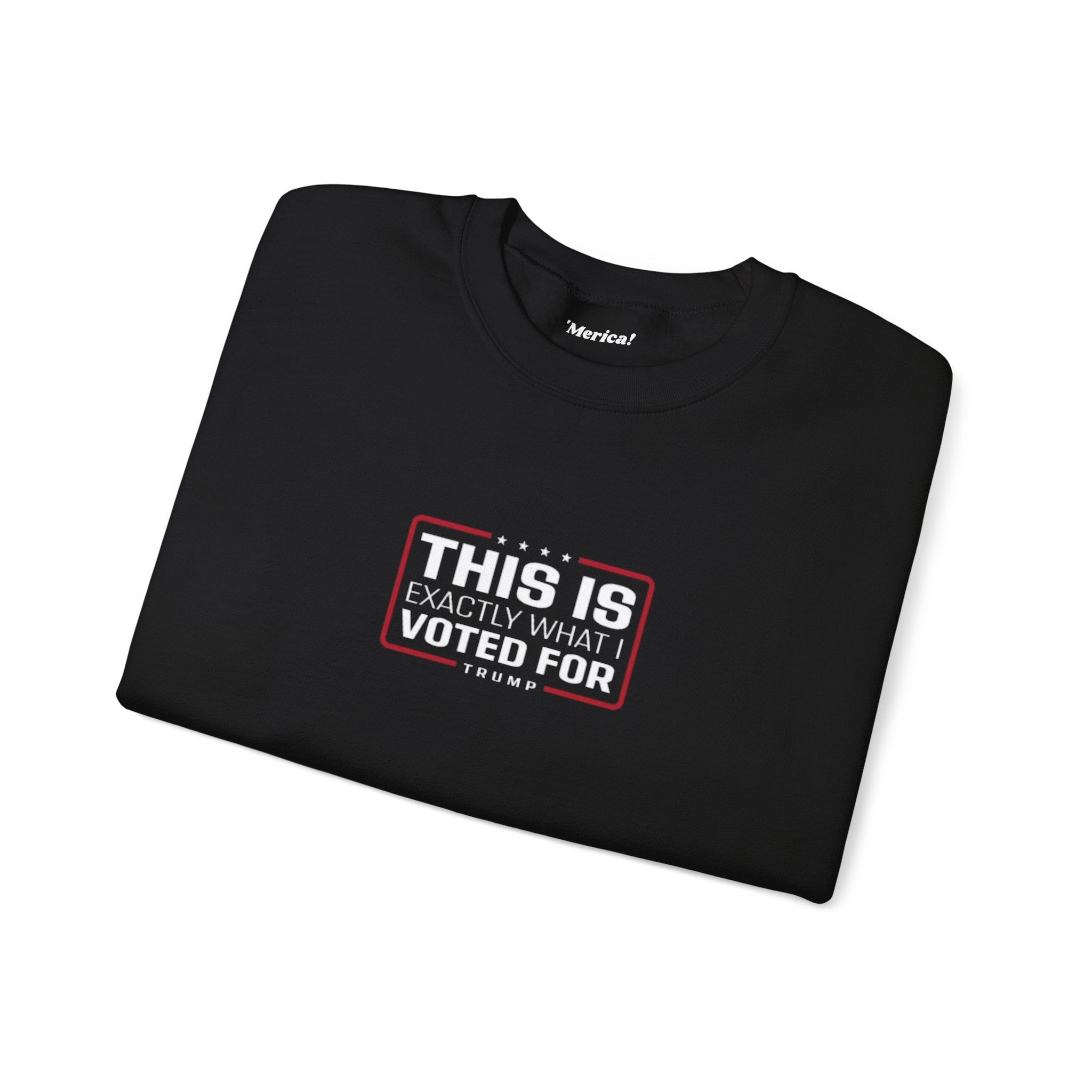 What i Voted for Sweatshirt