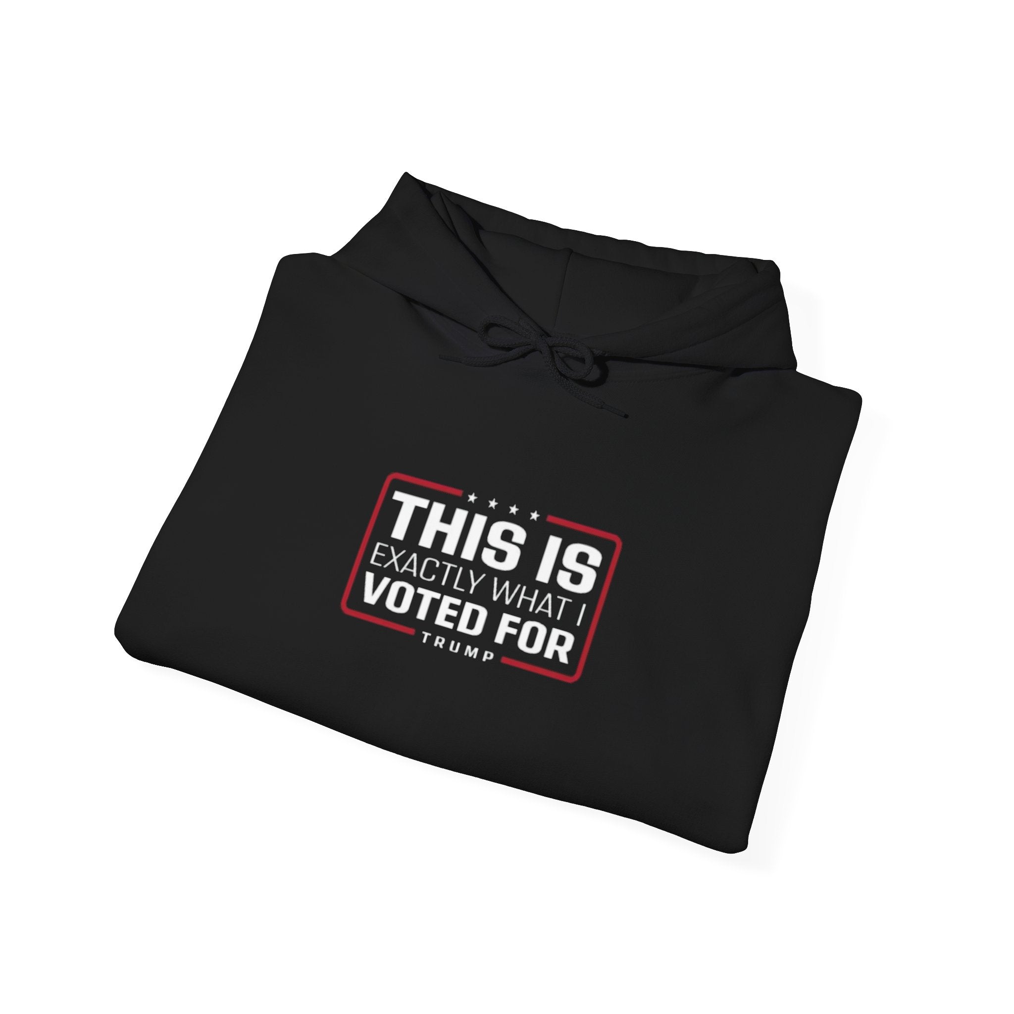 What I Voted for Hoodie