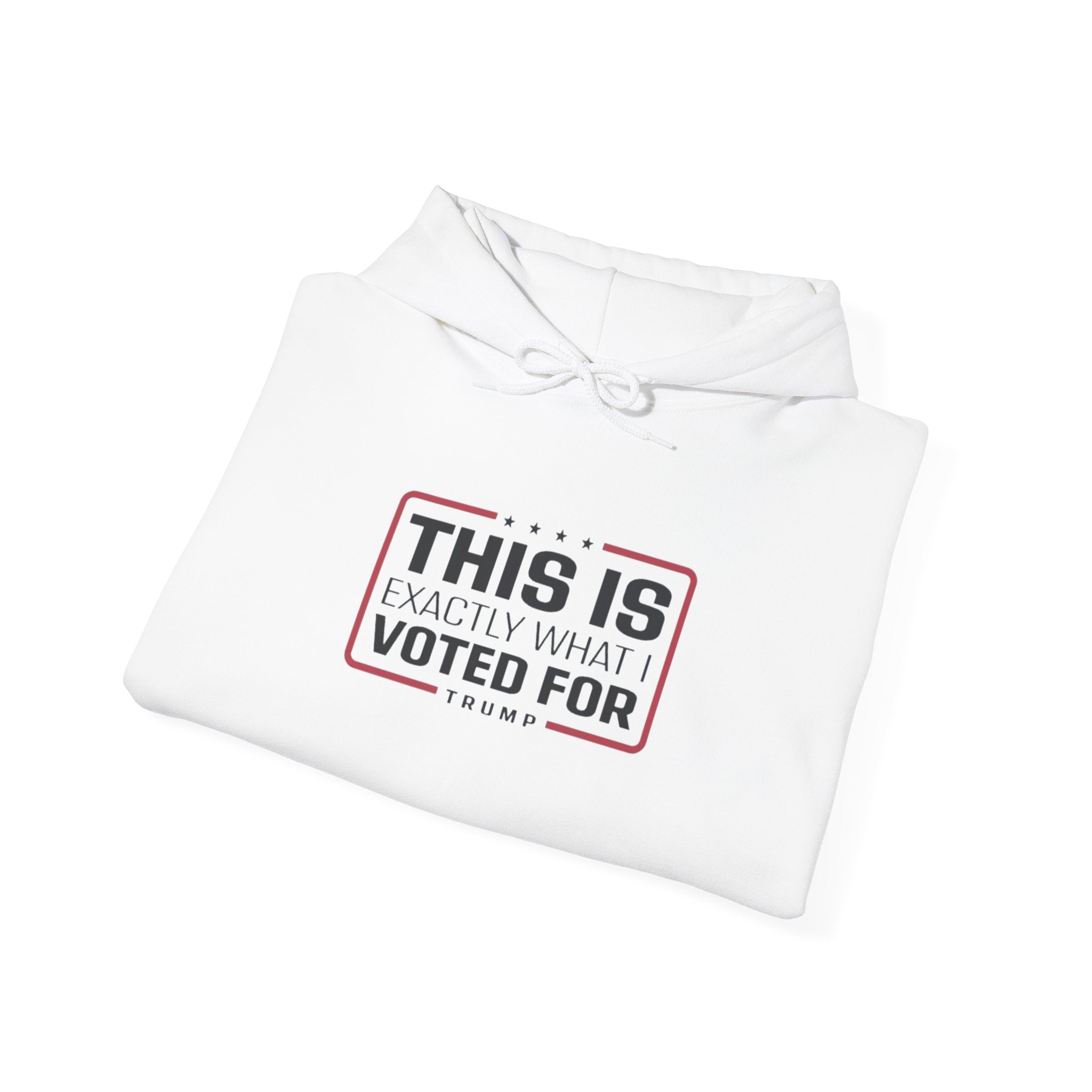 What I Voted for Hoodie