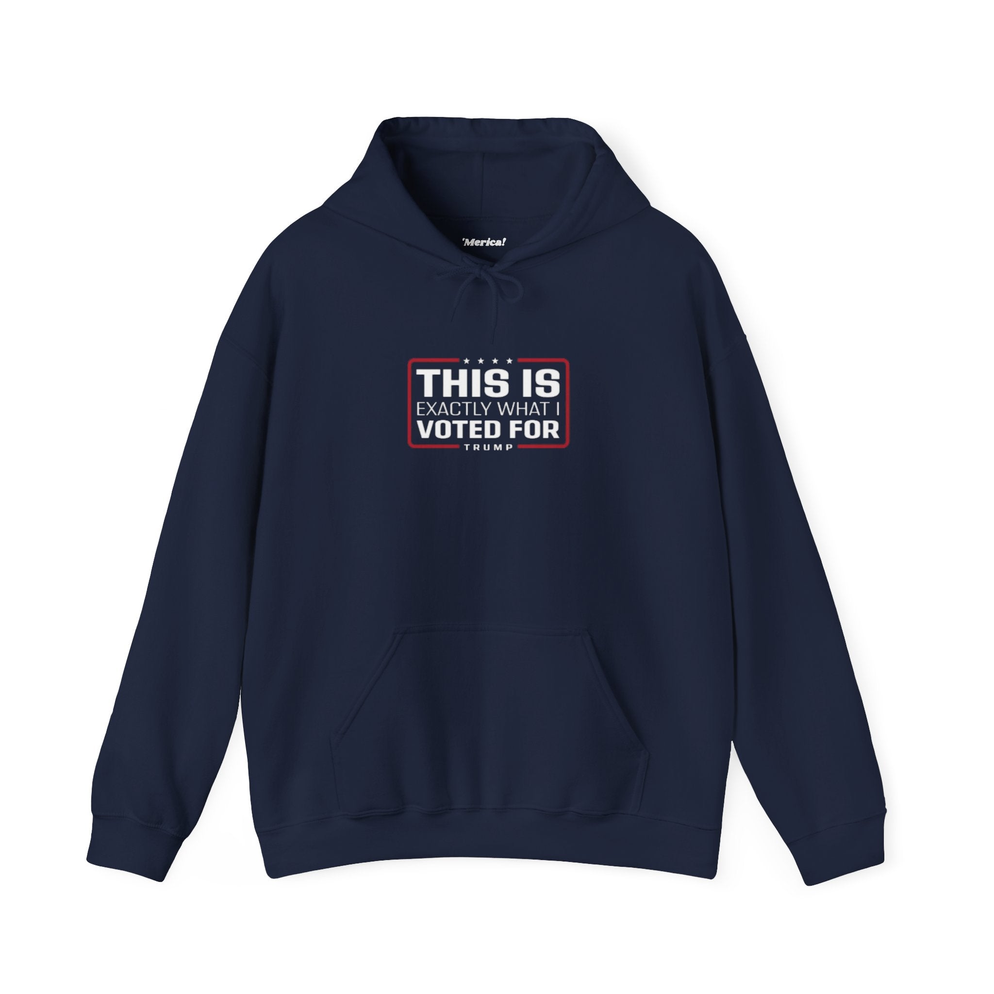 What I Voted for Hoodie