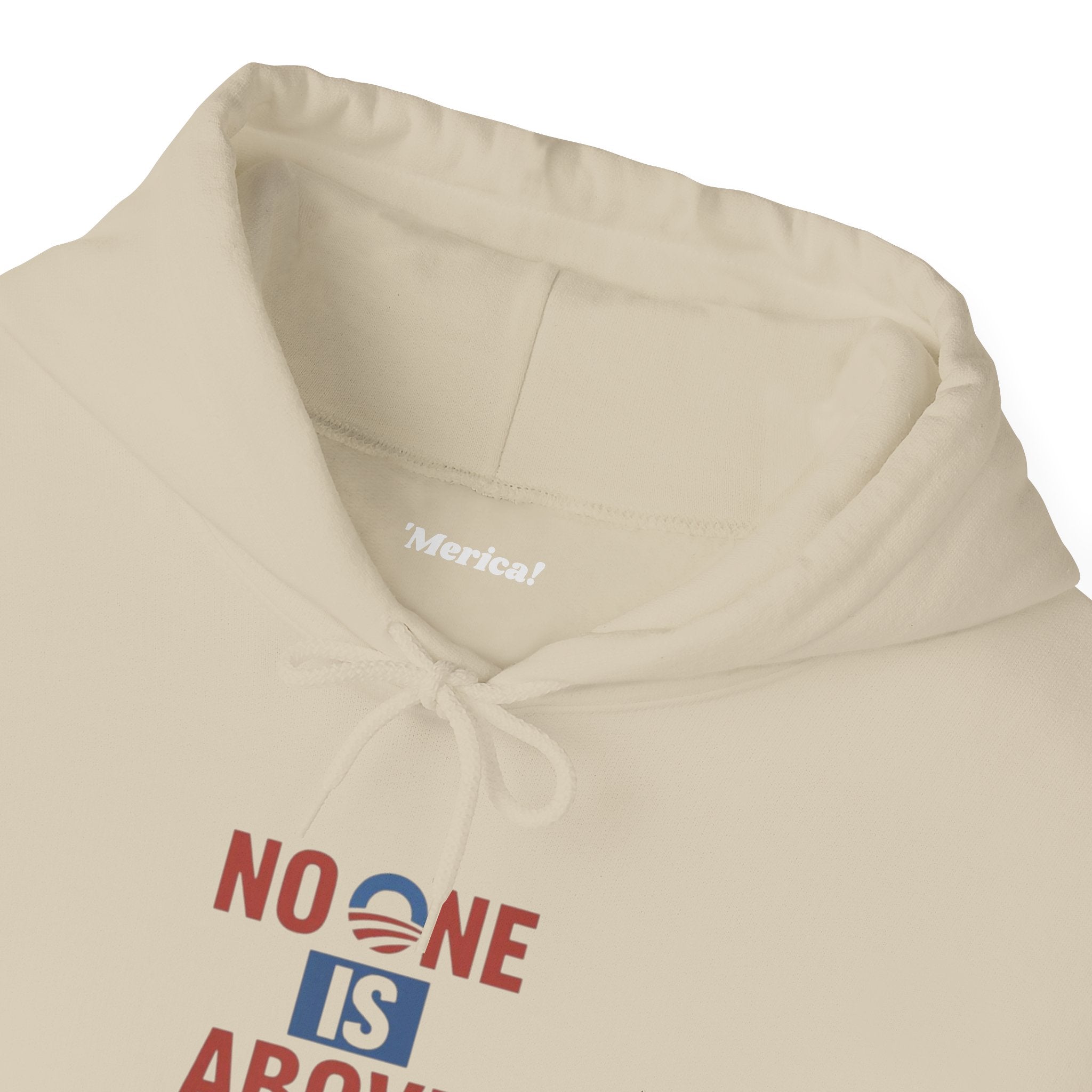No One Is Above the Law Hoodie