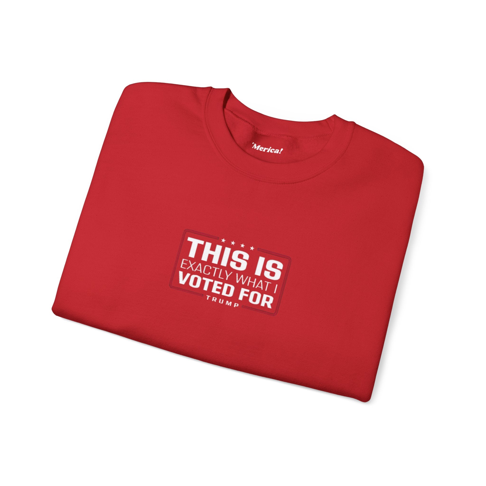What i Voted for Sweatshirt