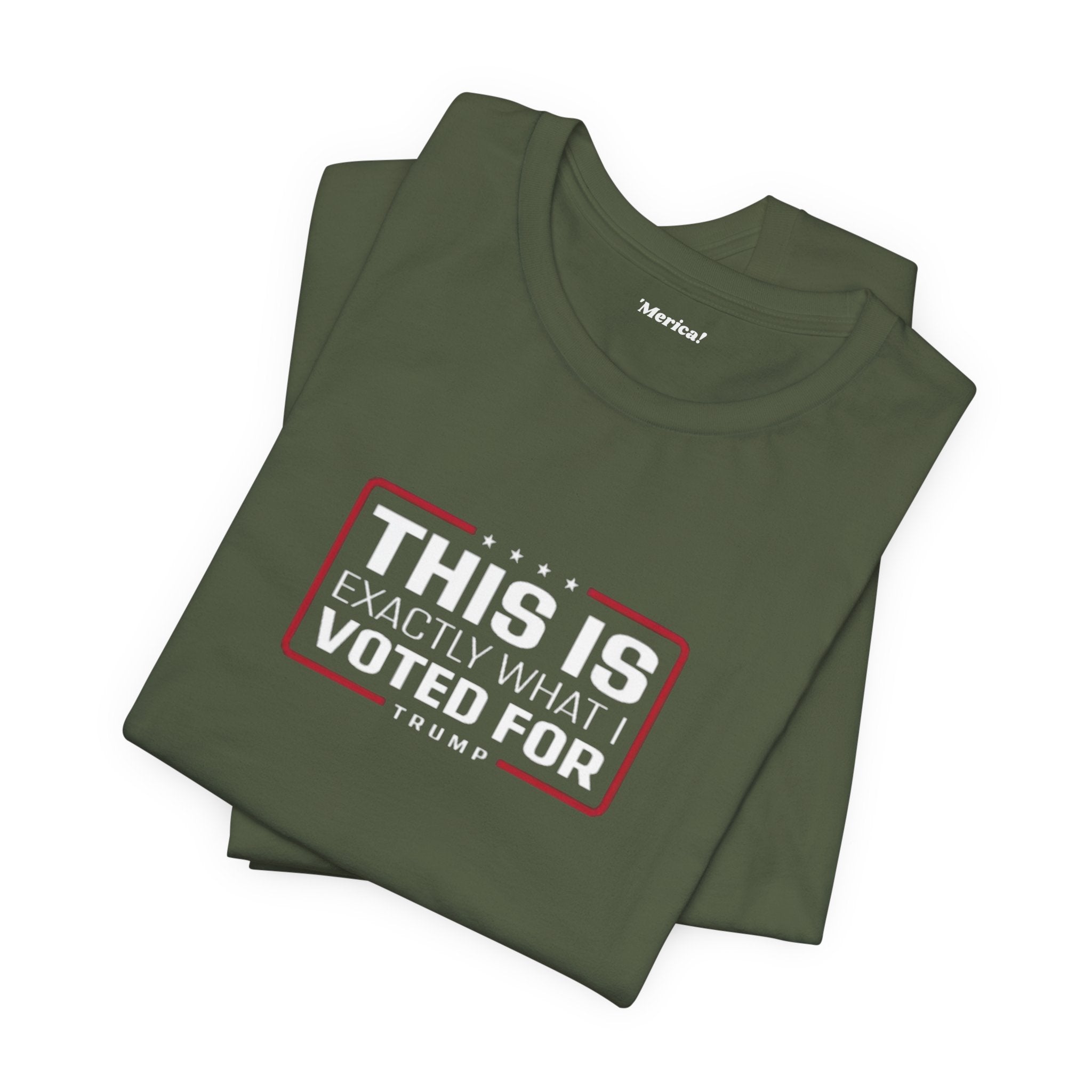 What I Voted For T-Shirt