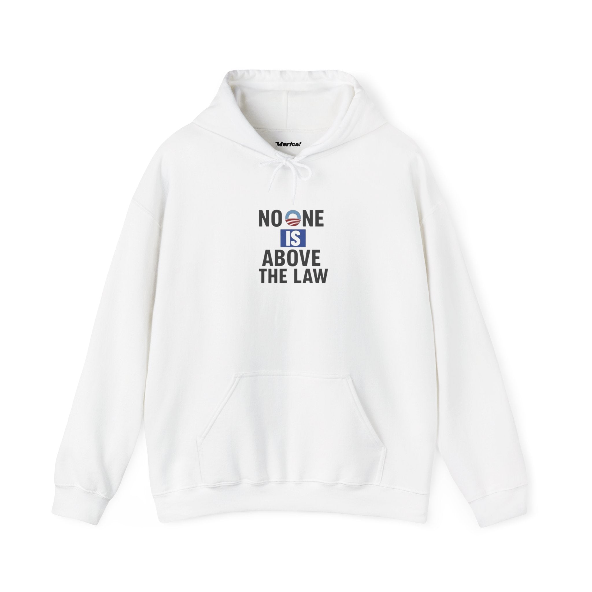 No One Is Above the Law Hoodie