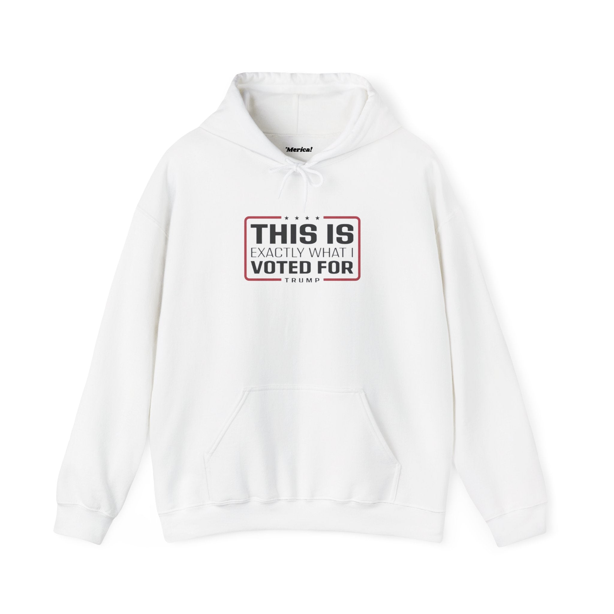What I Voted for Hoodie