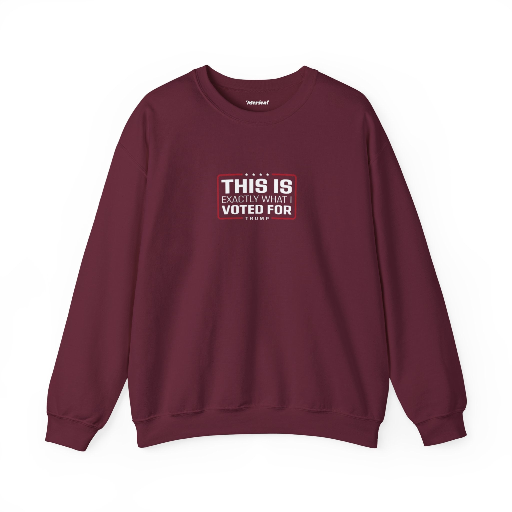 What i Voted for Sweatshirt