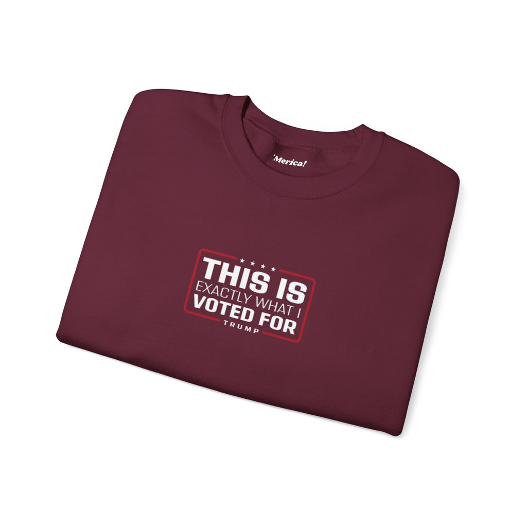 What i Voted for Sweatshirt