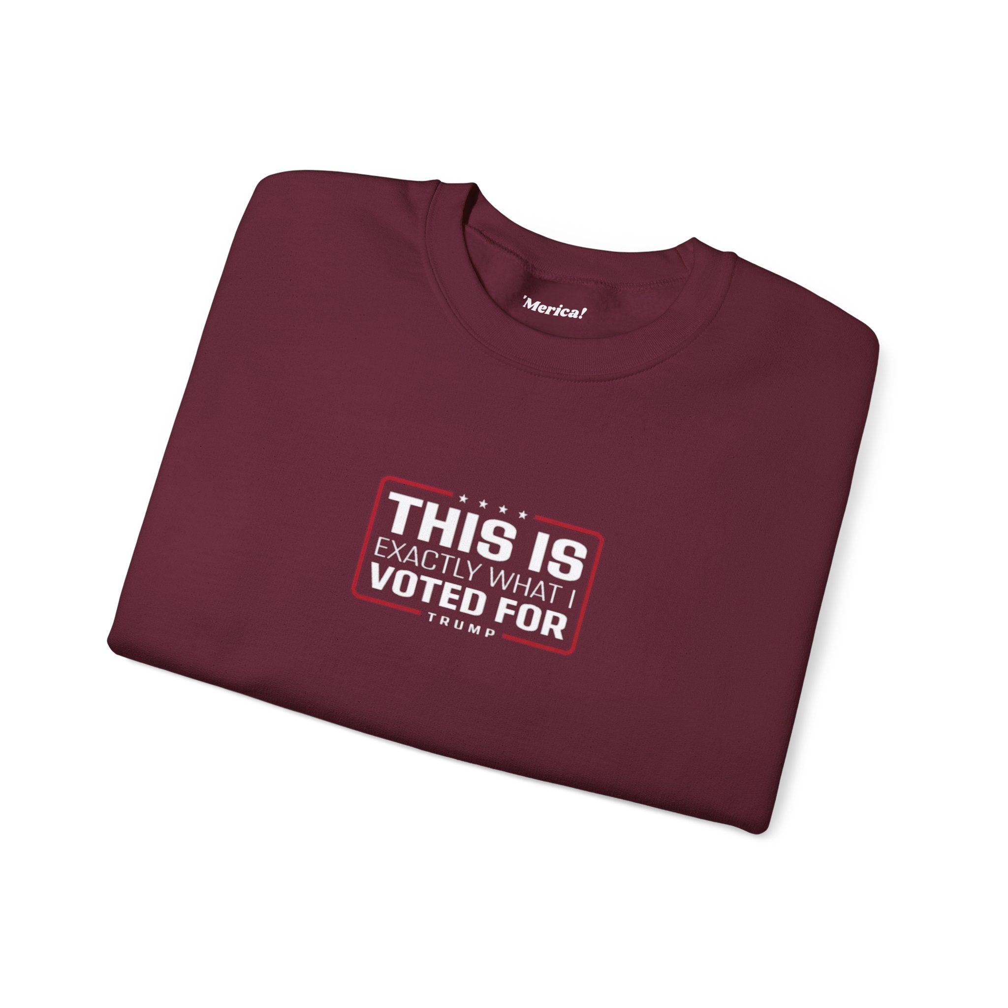 What i Voted for Sweatshirt