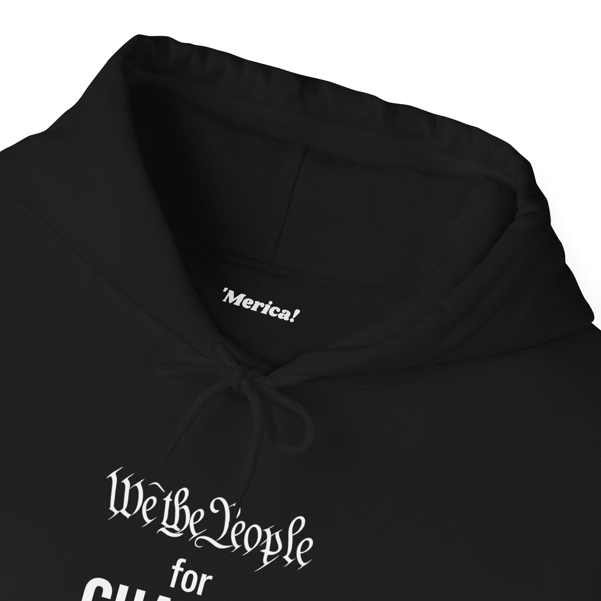 We The People for CHARLIE Hoodie
