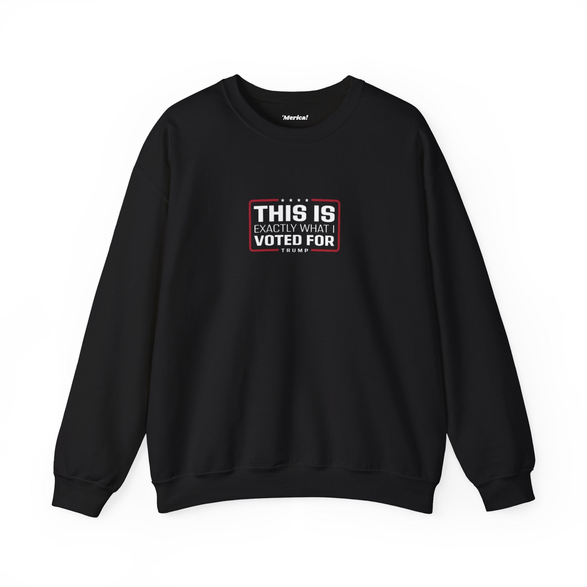 What i Voted for Sweatshirt