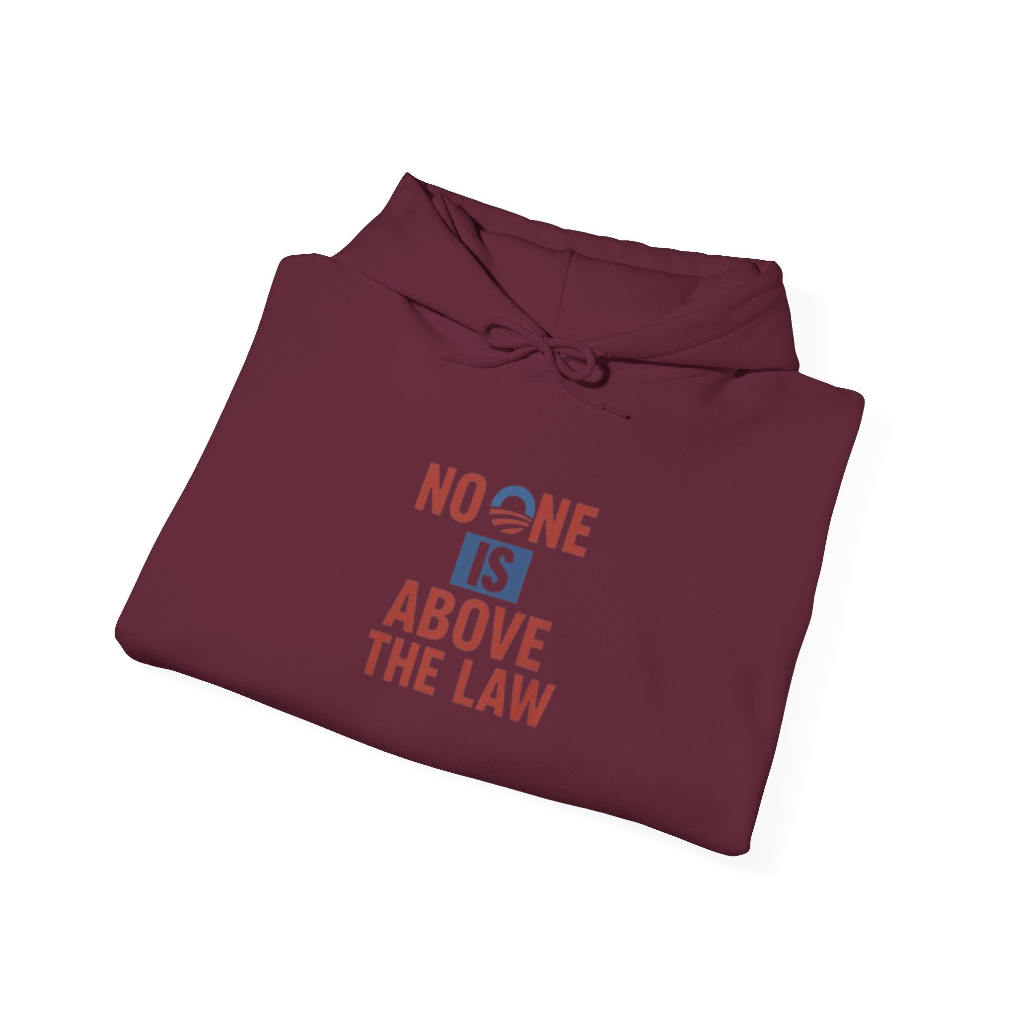No One Is Above the Law Hoodie