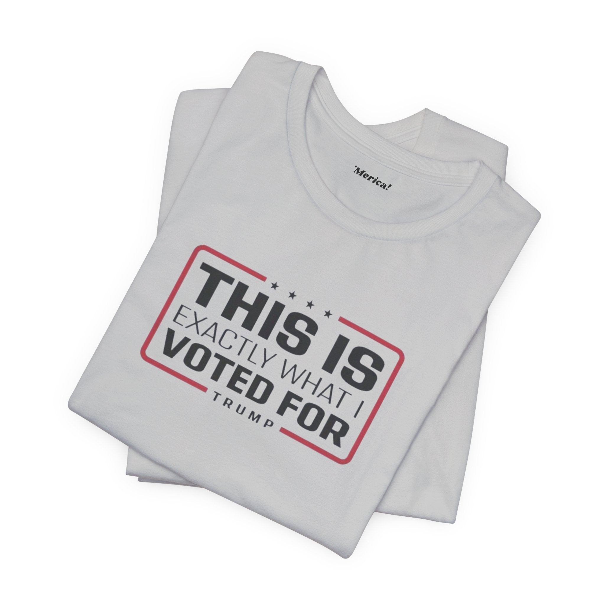 What I Voted For T-Shirt