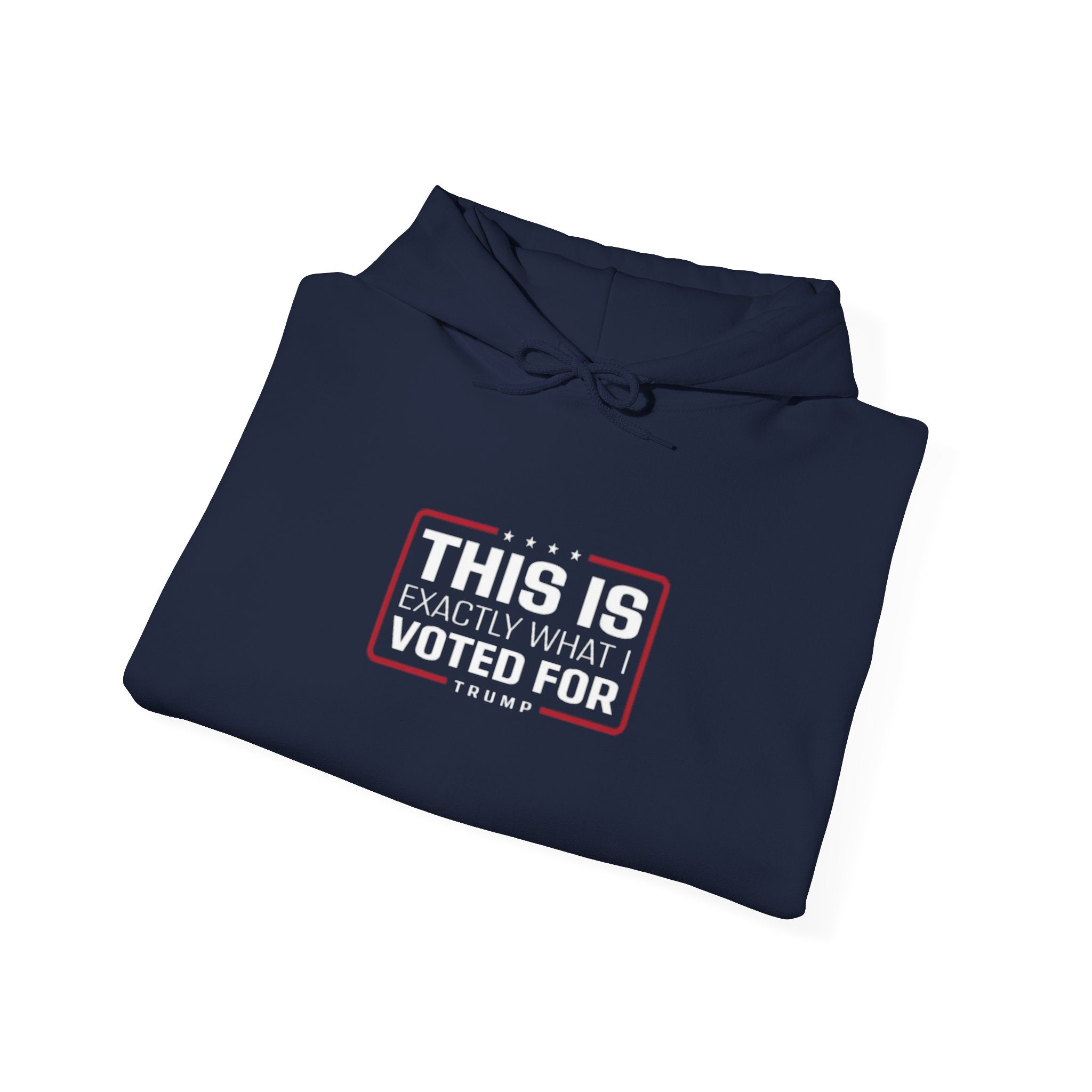 What I Voted for Hoodie