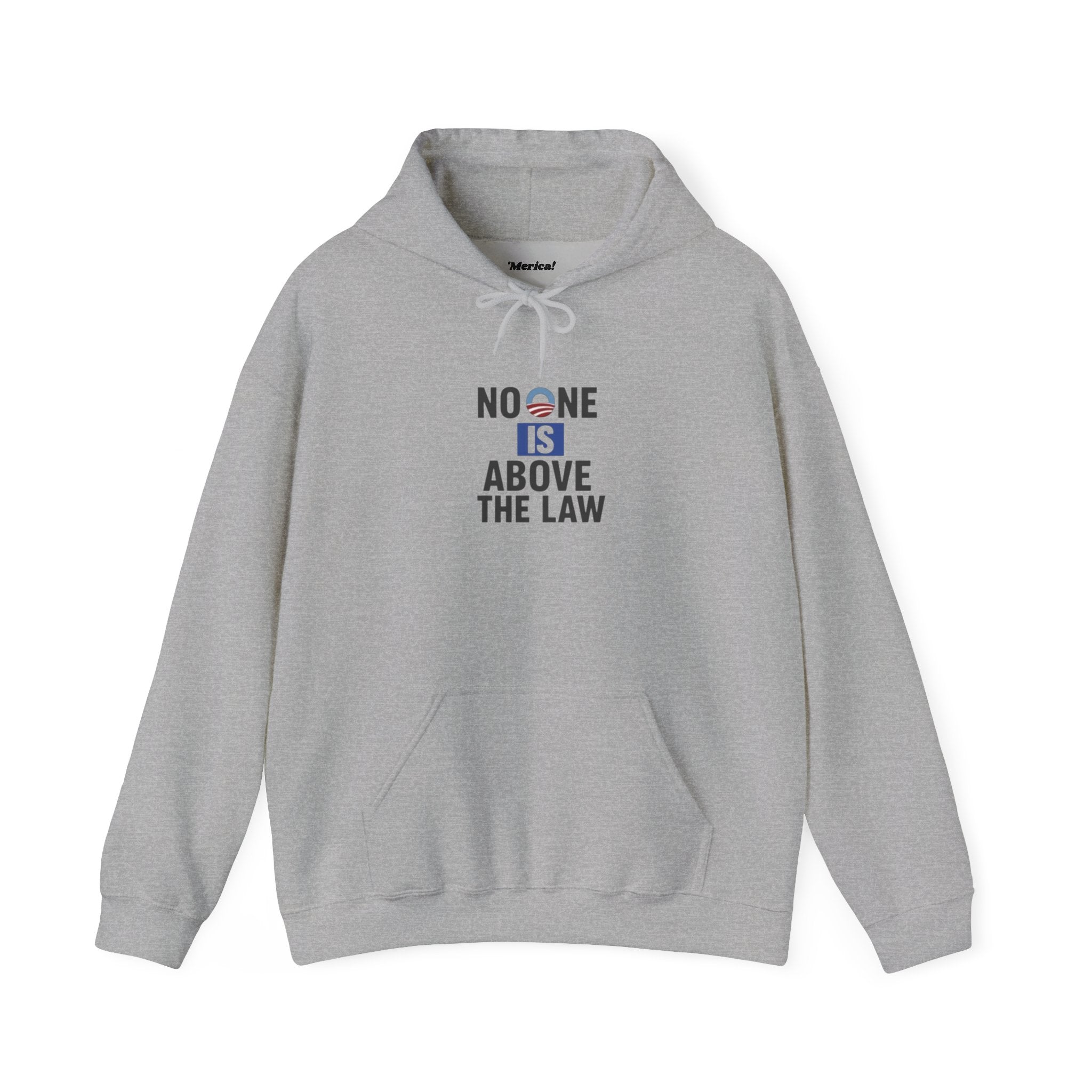 No One Is Above the Law Hoodie