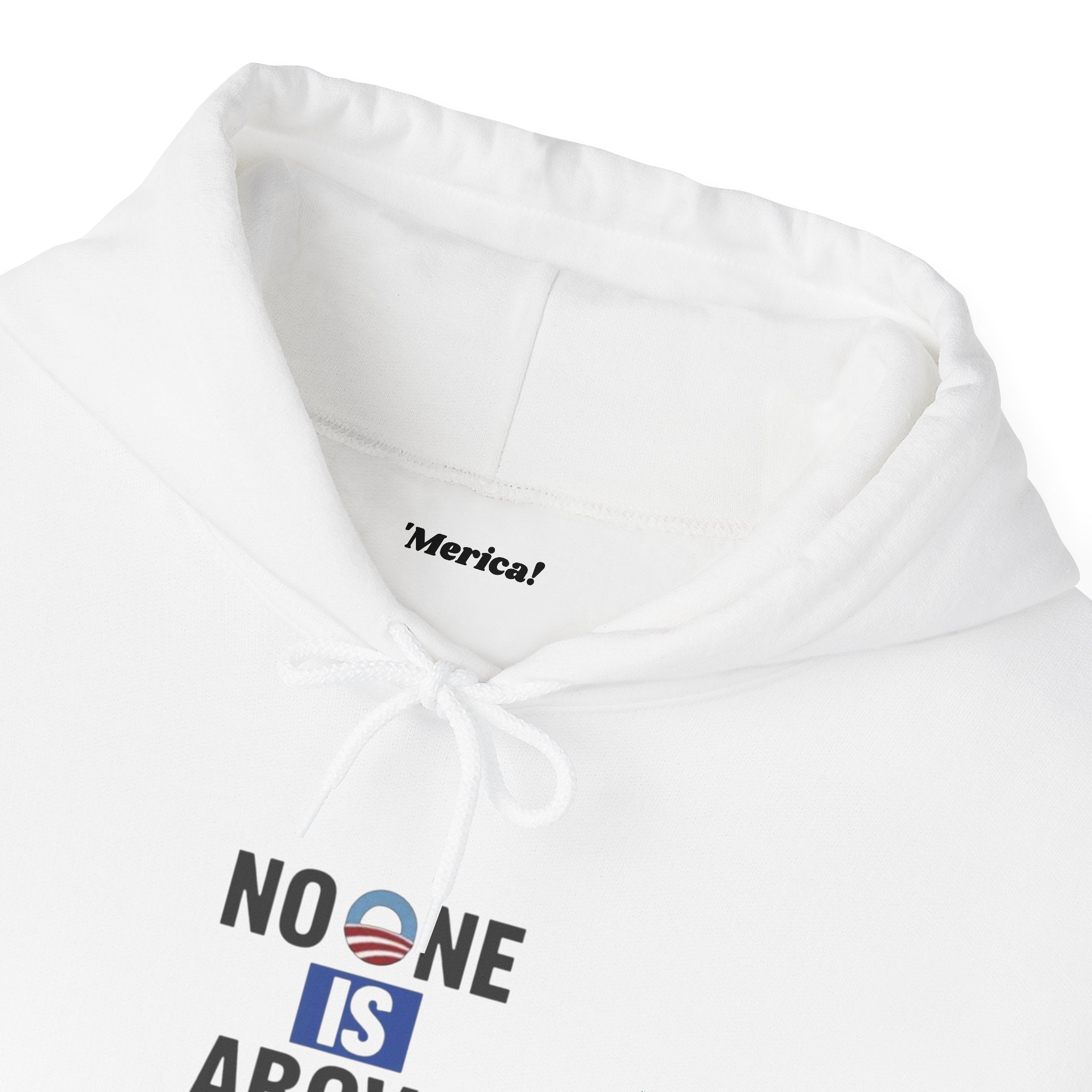 No One Is Above the Law Hoodie