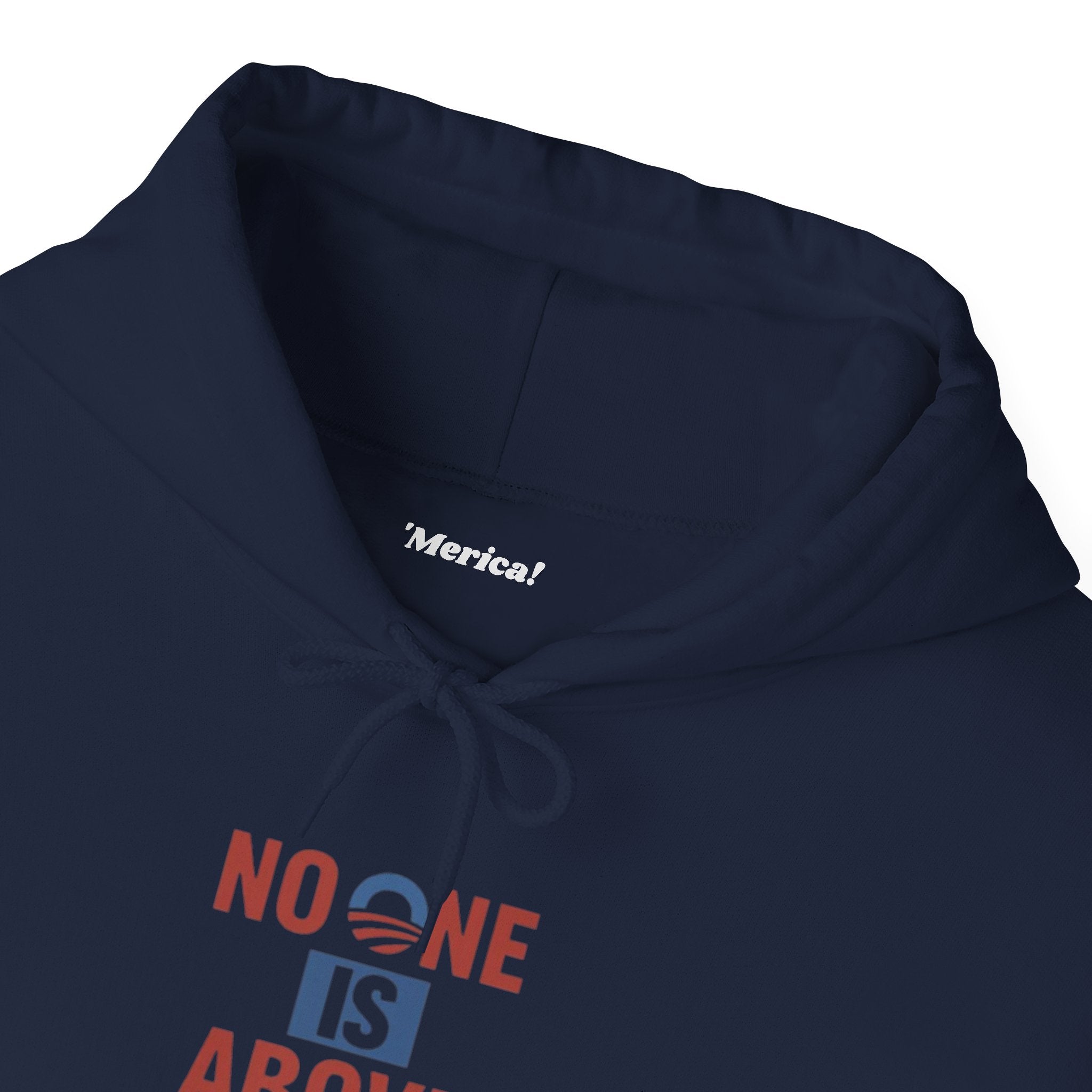 No One Is Above the Law Hoodie