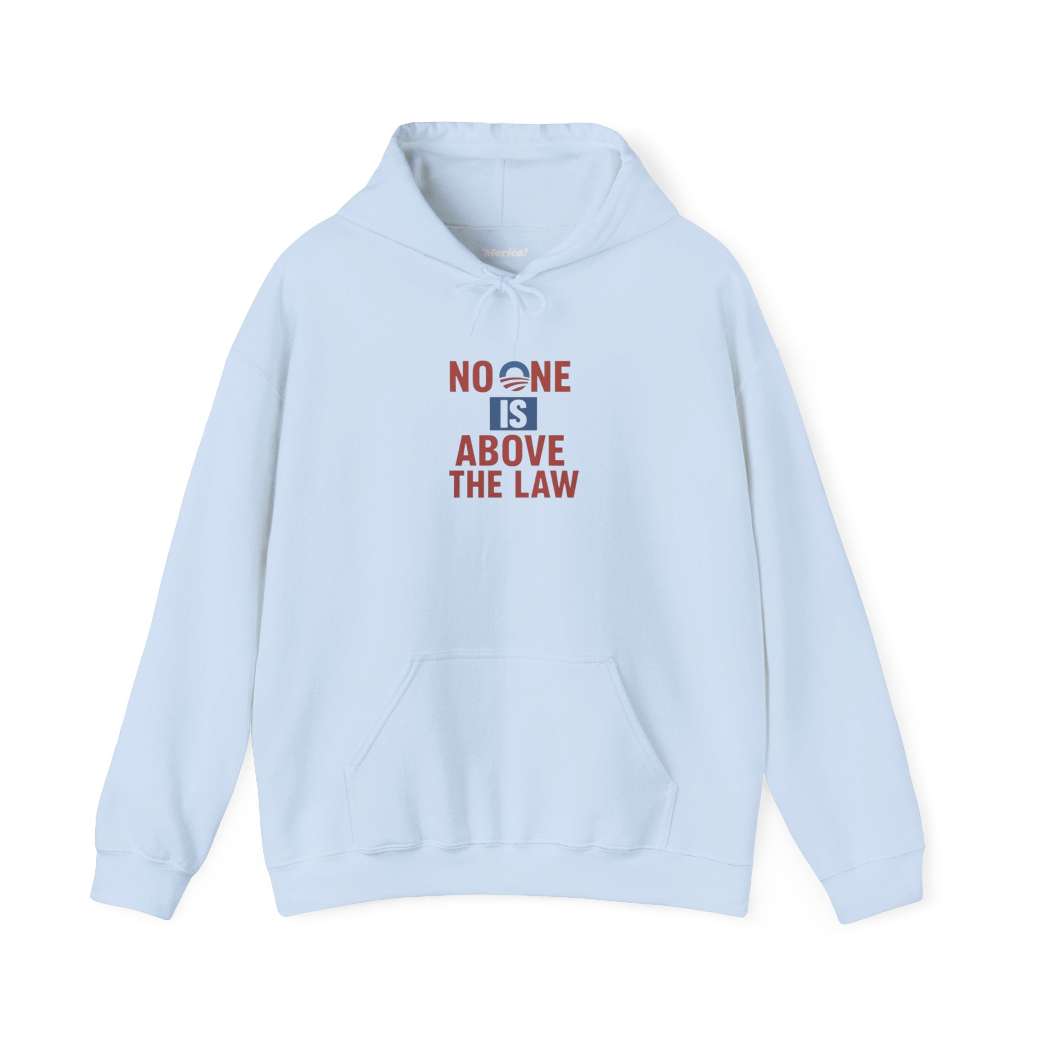 No One Is Above the Law Hoodie