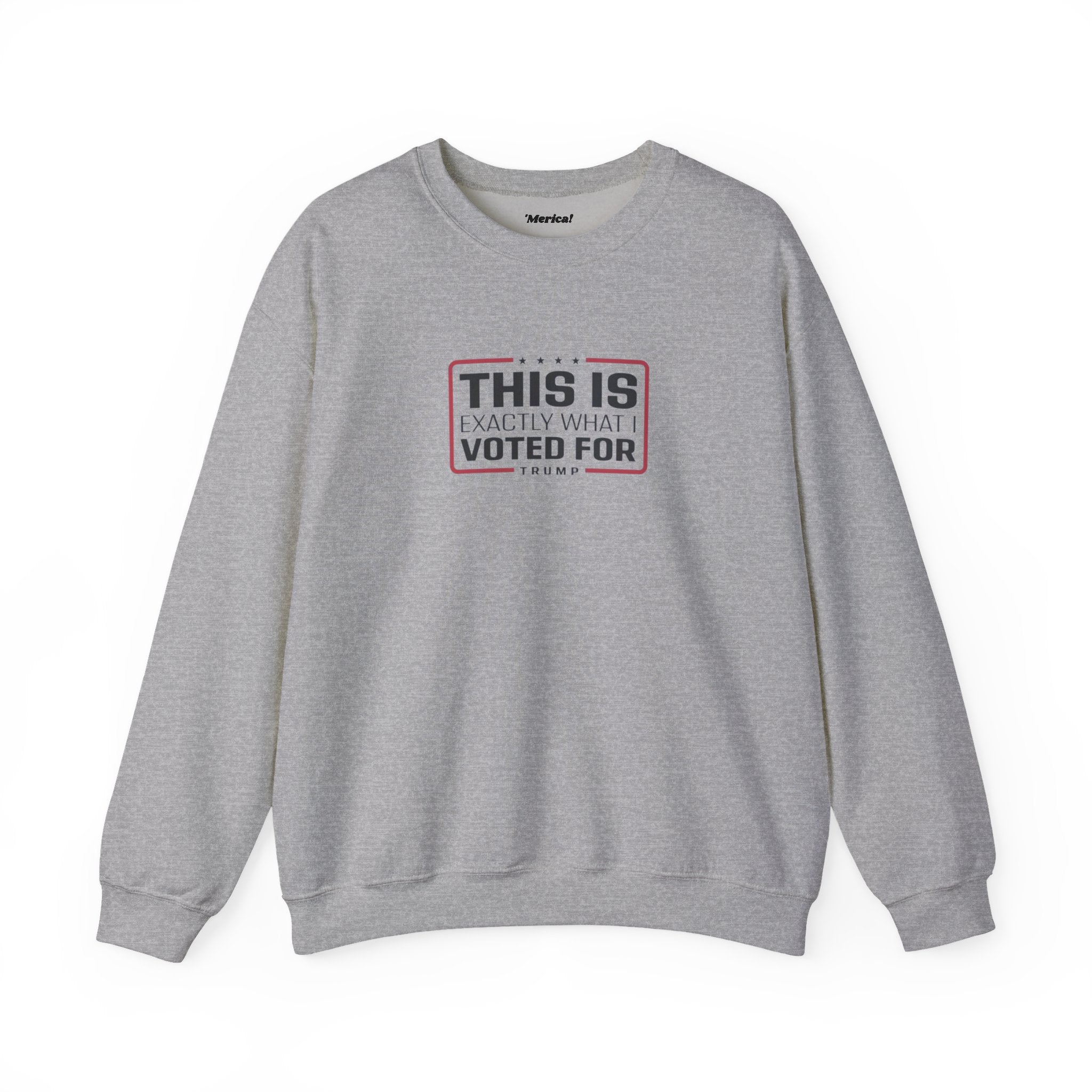 What i Voted for Sweatshirt