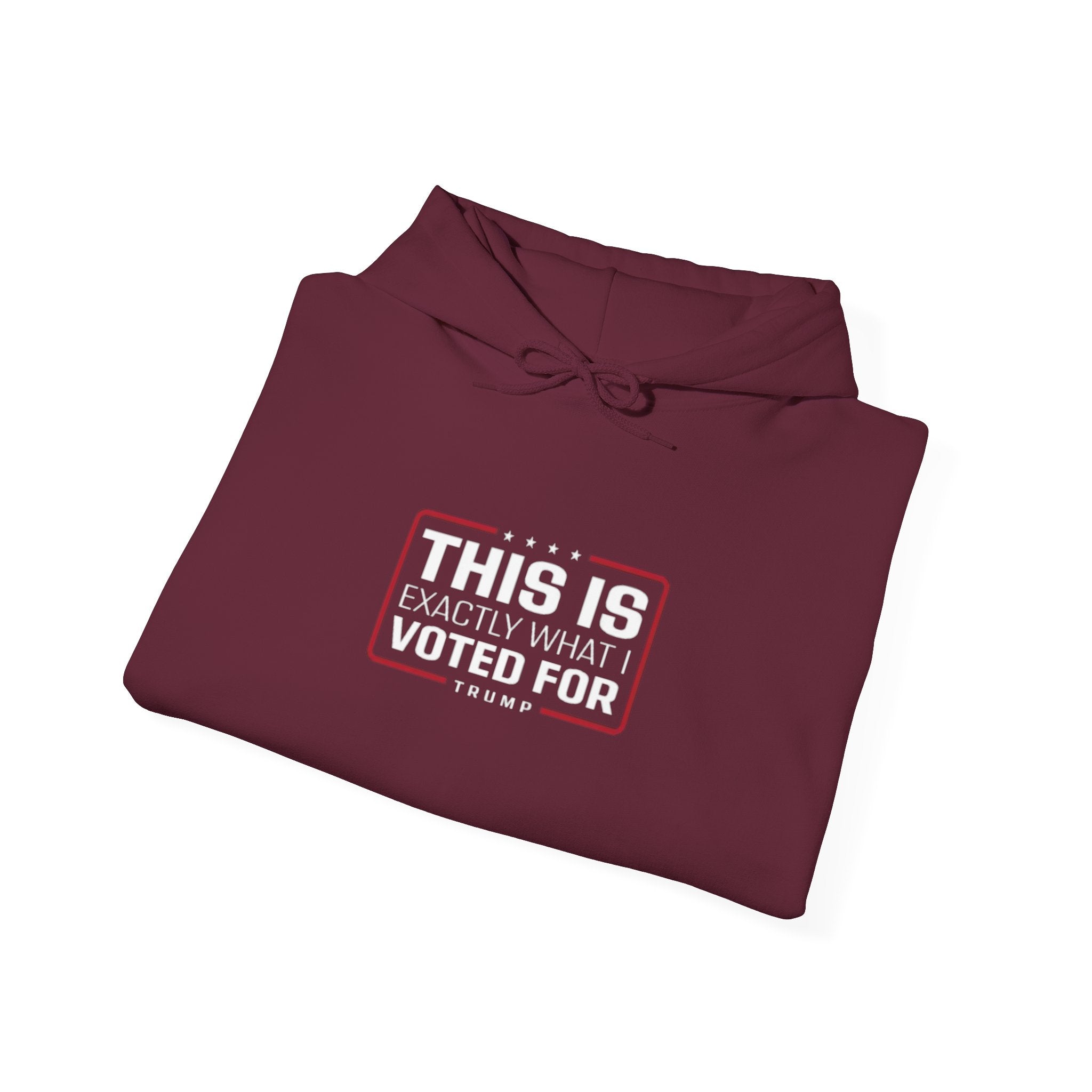 What I Voted for Hoodie