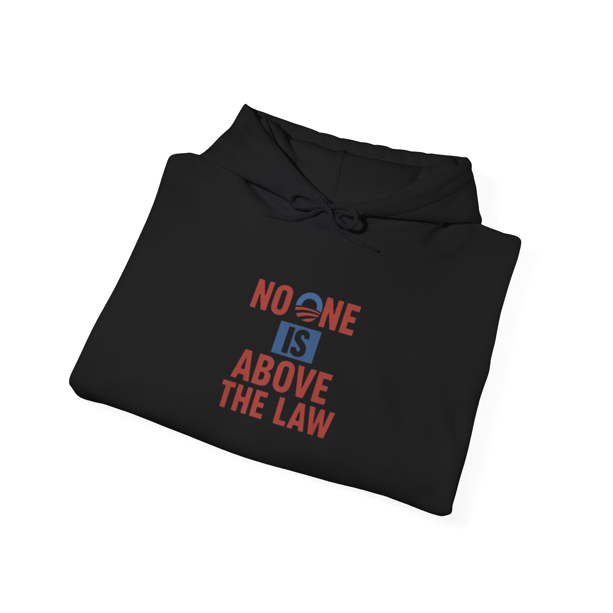 No One Is Above the Law Hoodie