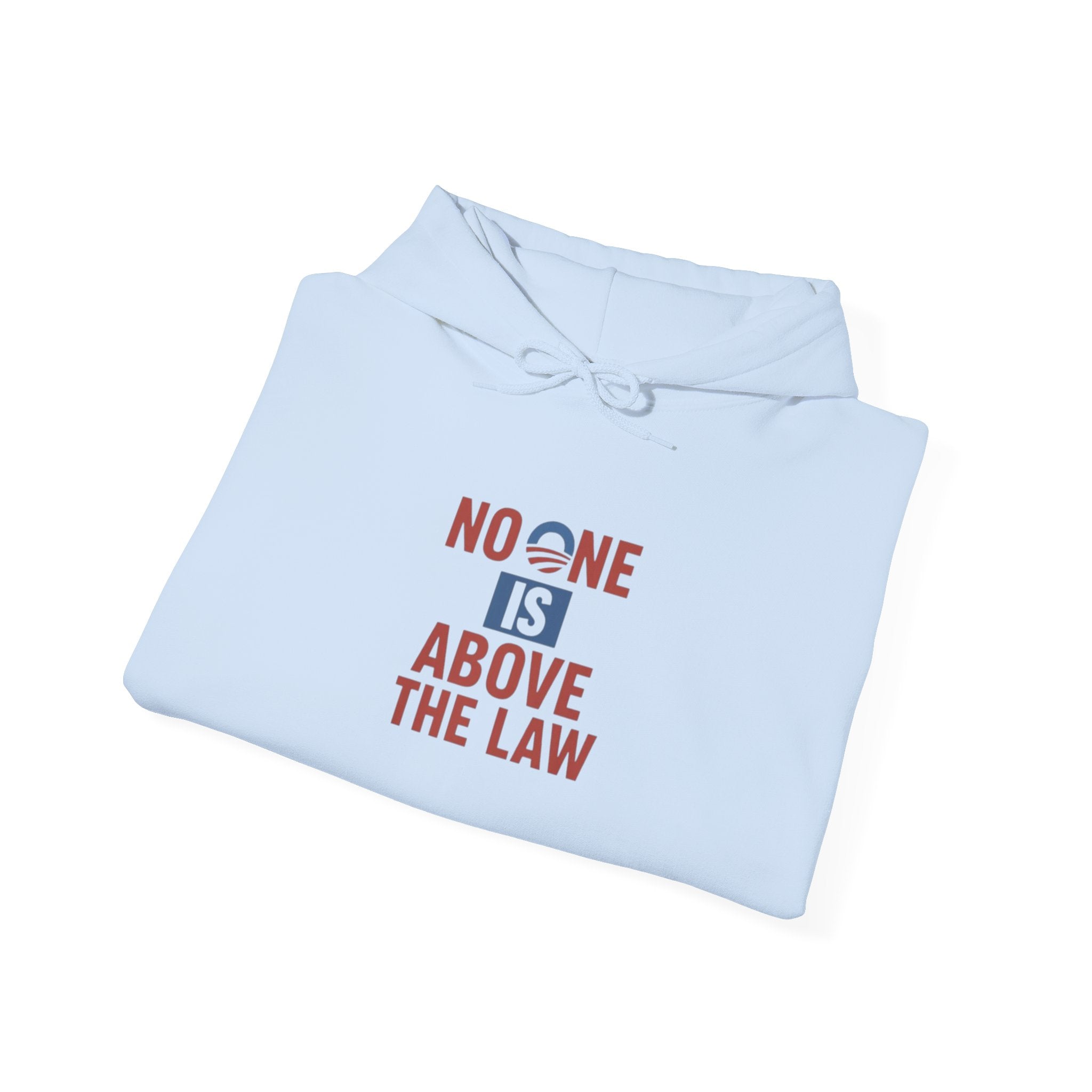 No One Is Above the Law Hoodie