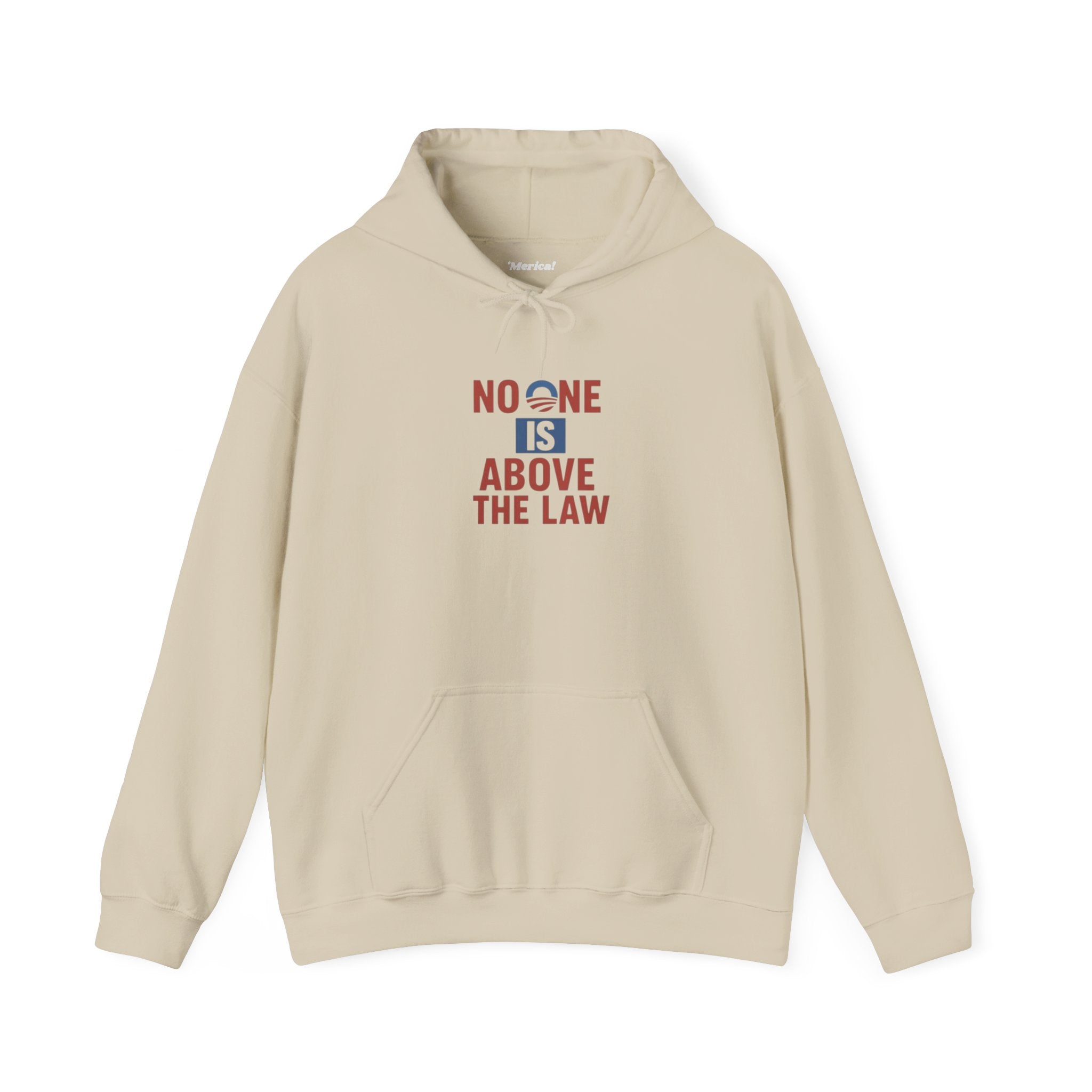 No One Is Above the Law Hoodie