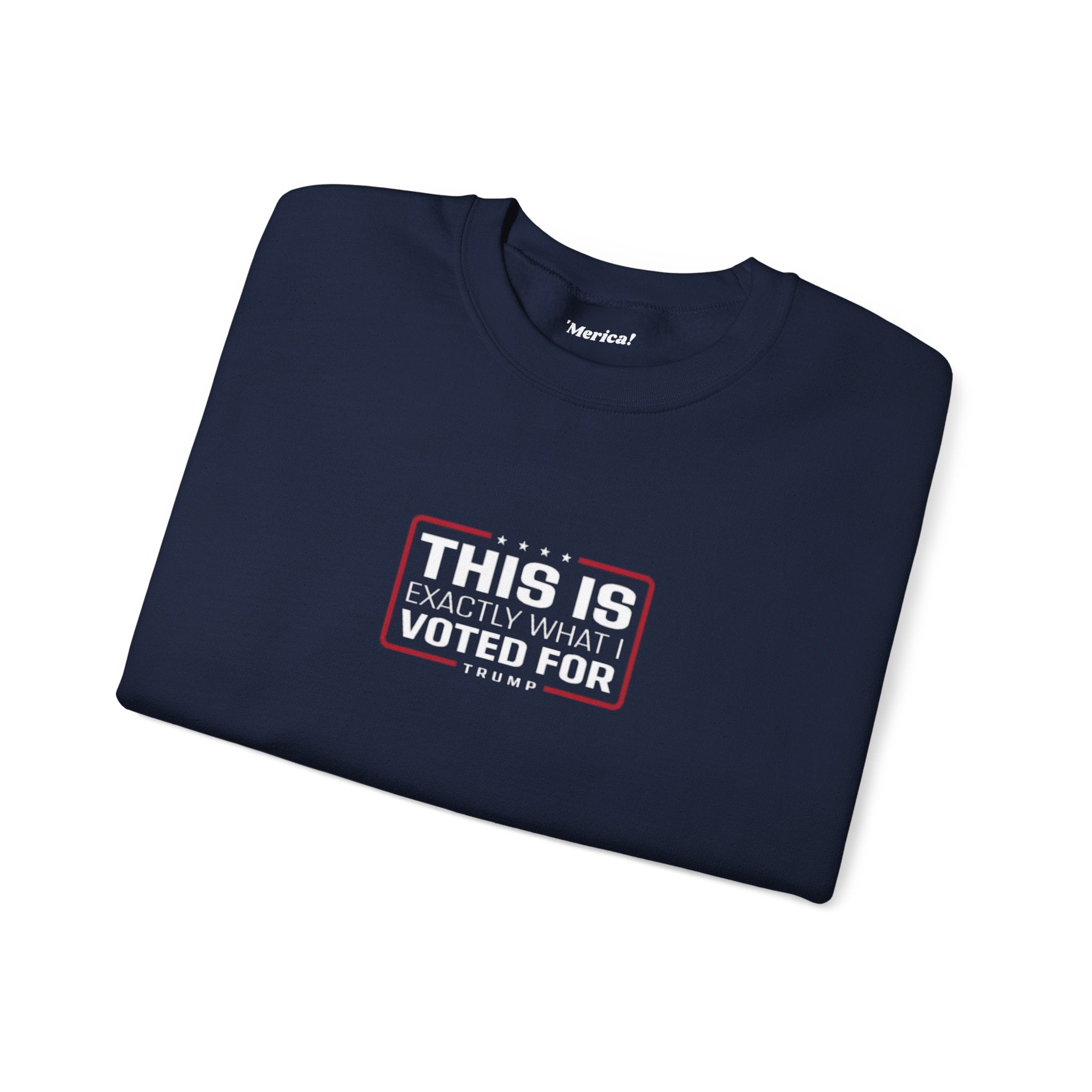 What i Voted for Sweatshirt