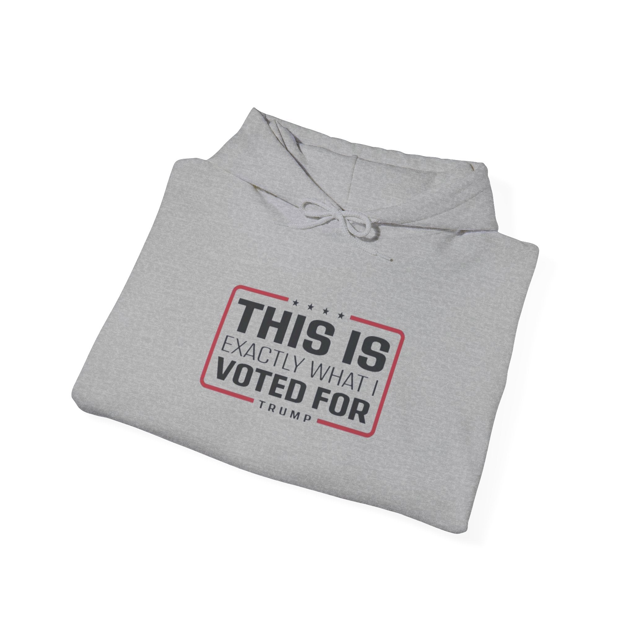What I Voted for Hoodie