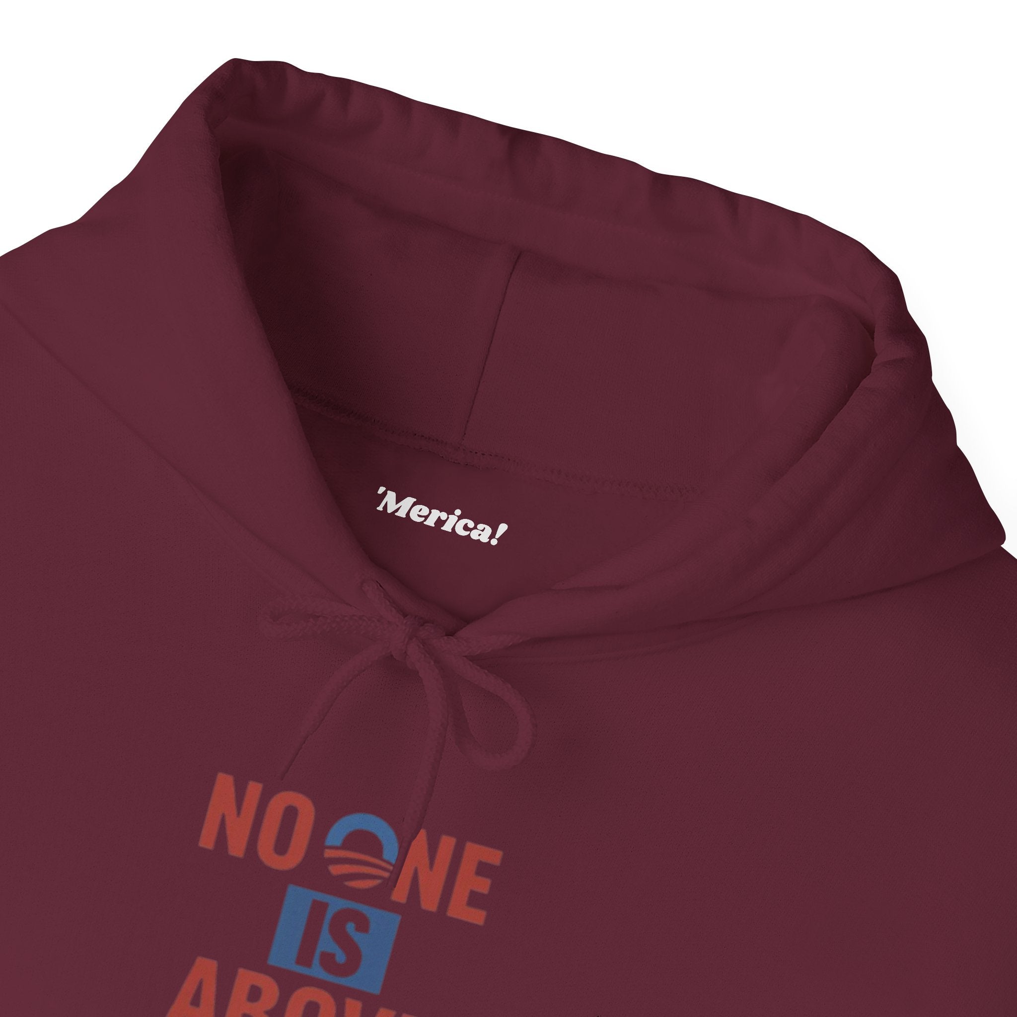No One Is Above the Law Hoodie