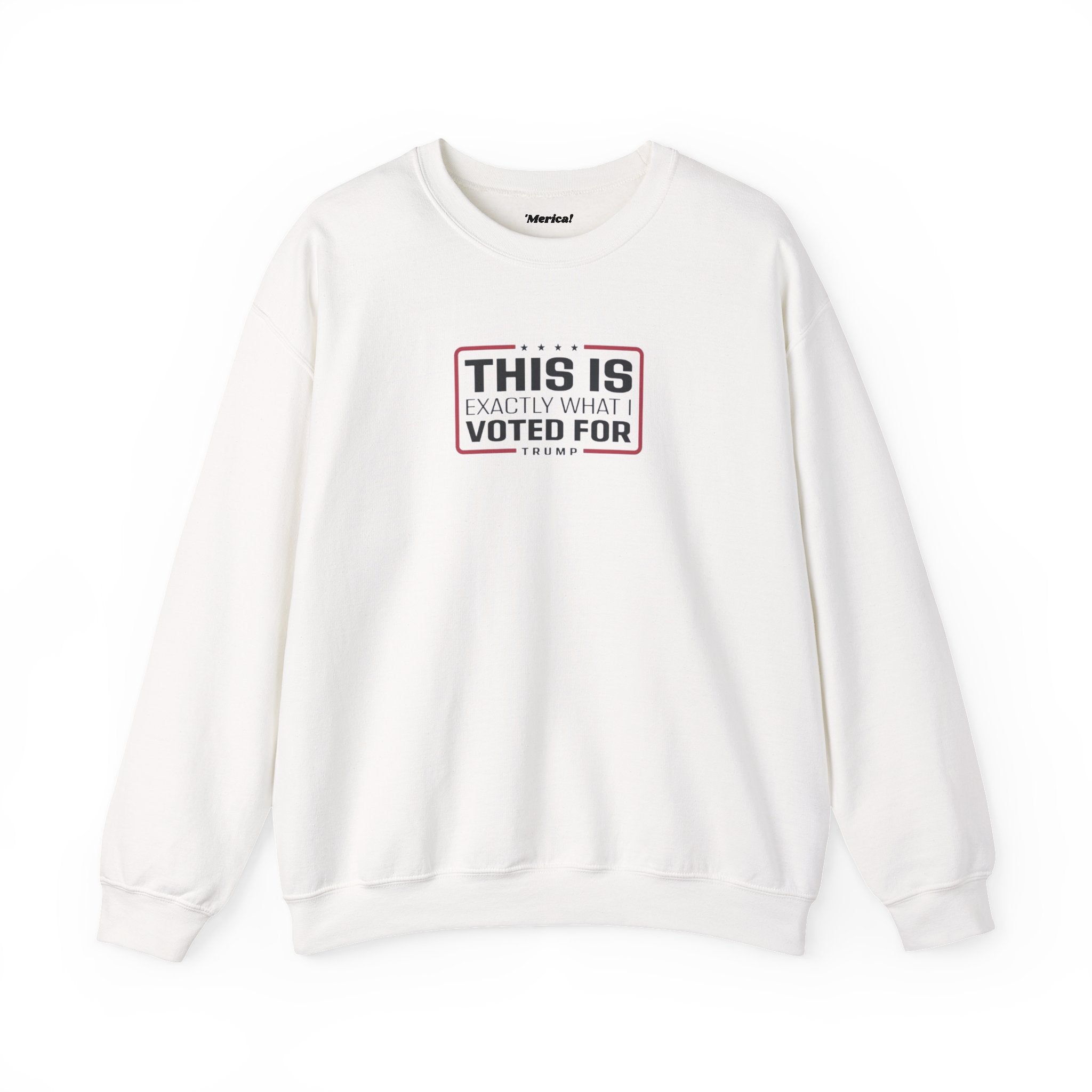 What i Voted for Sweatshirt