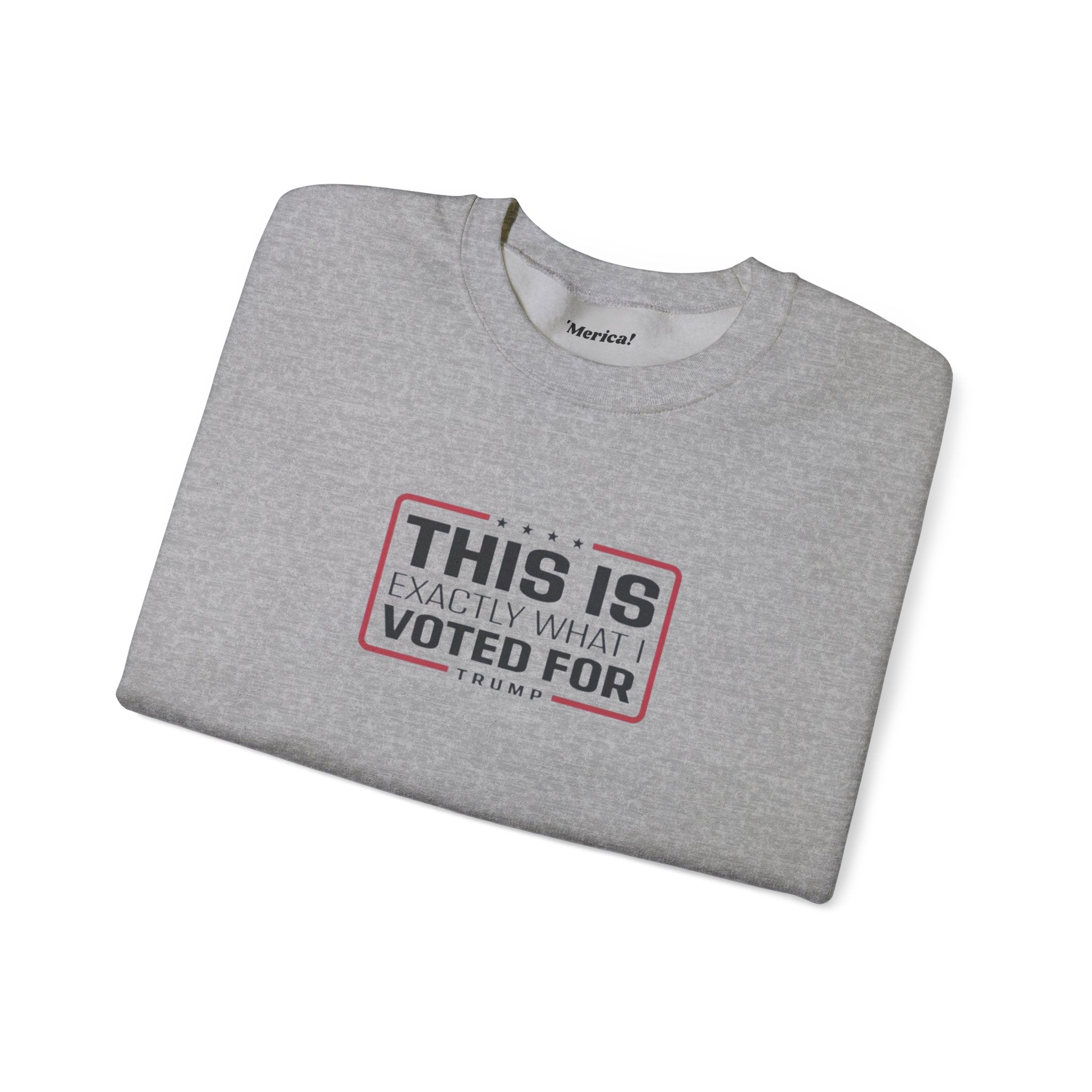 What i Voted for Sweatshirt