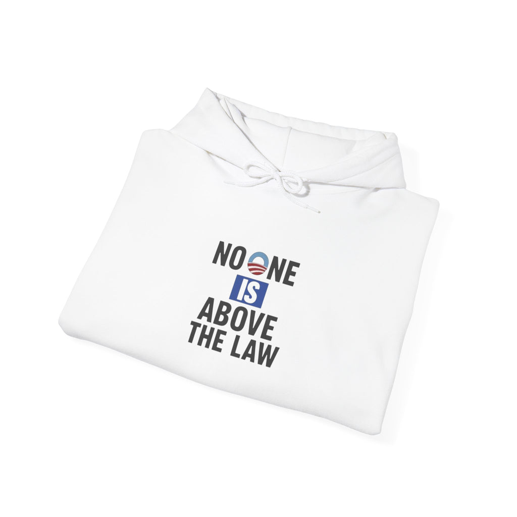 No One Is Above the Law Hoodie