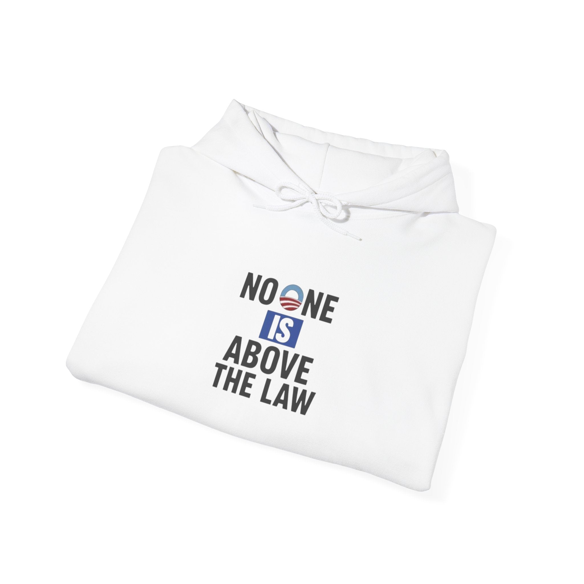 No One Is Above the Law Hoodie