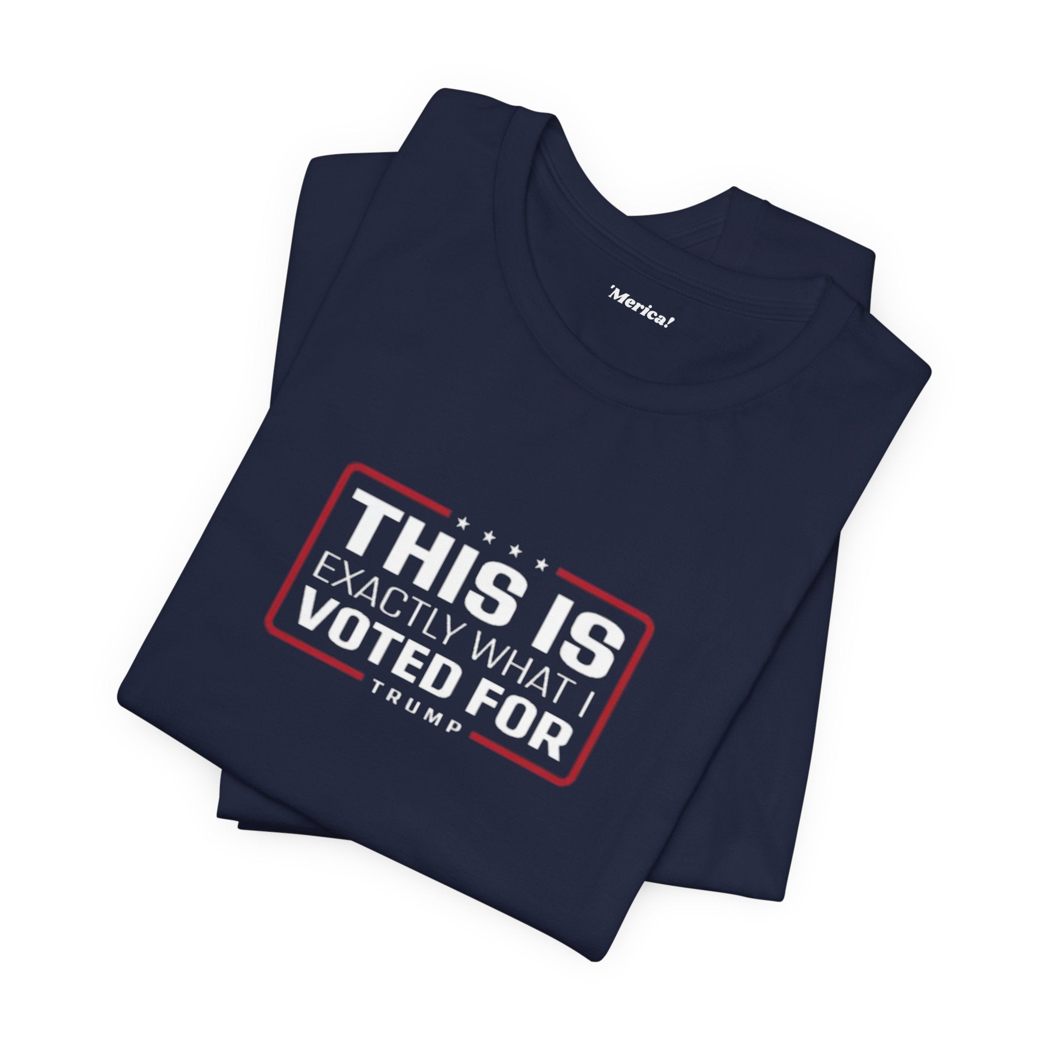 What I Voted For T-Shirt
