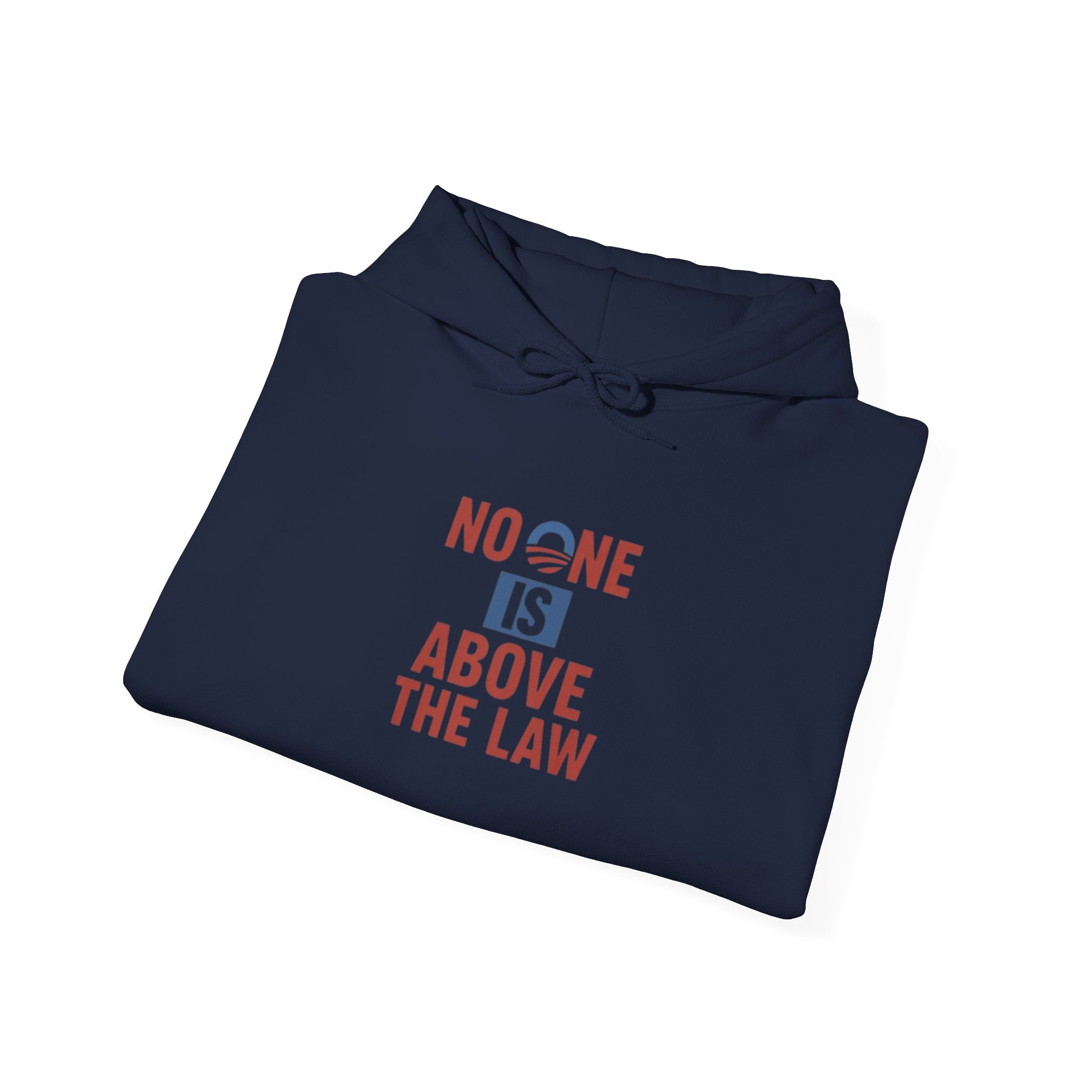 No One Is Above the Law Hoodie