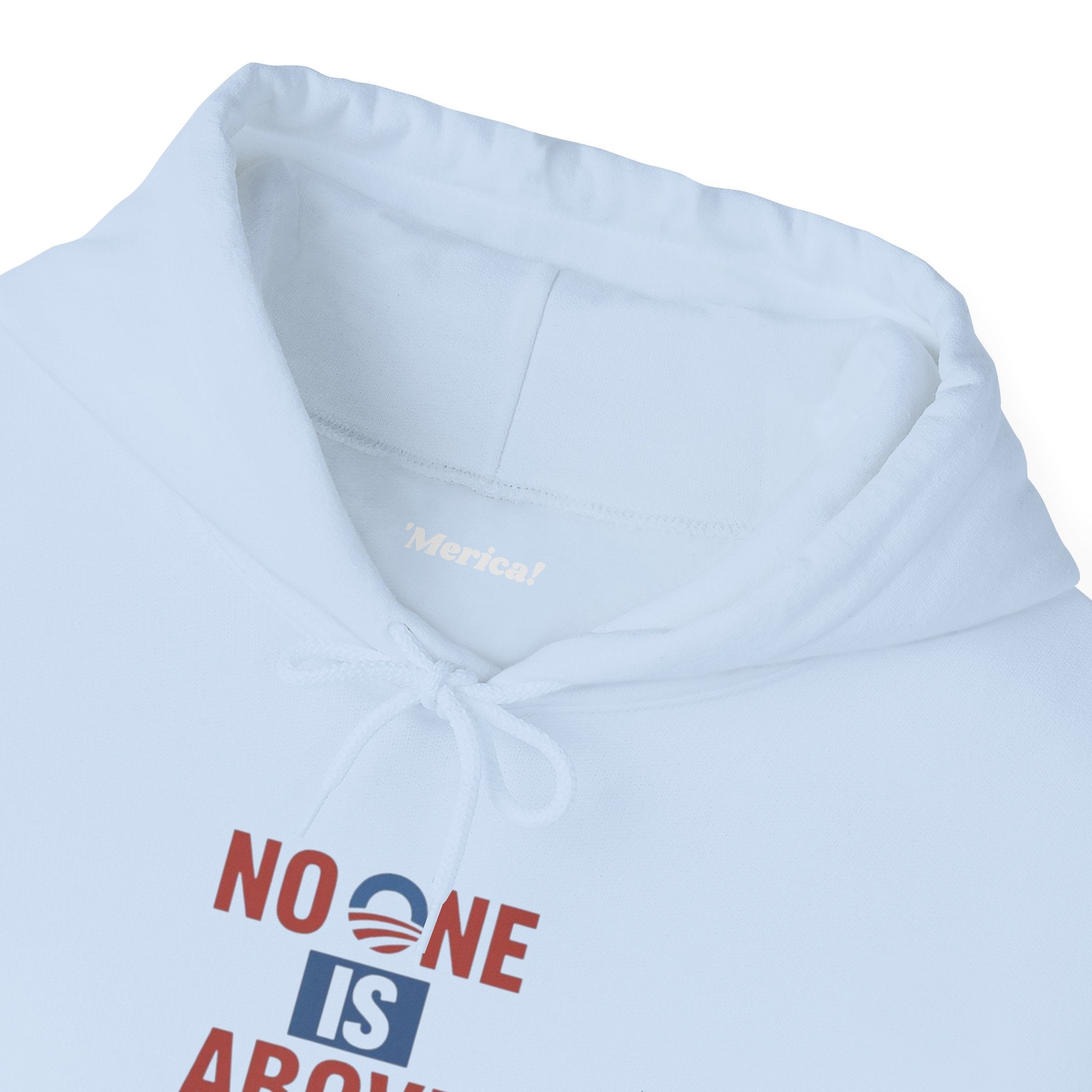 No One Is Above the Law Hoodie
