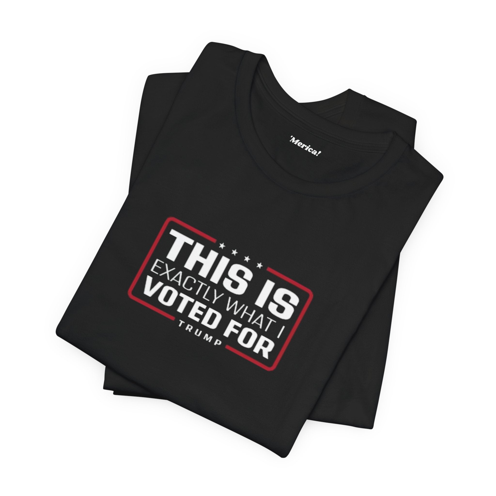 What I Voted For T-Shirt