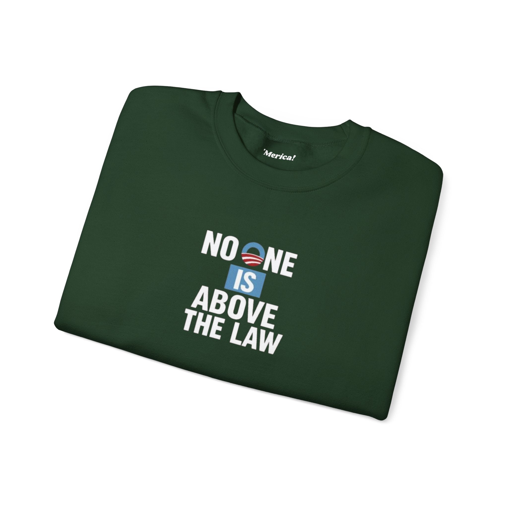 No One is Above the Law Sweatshirt