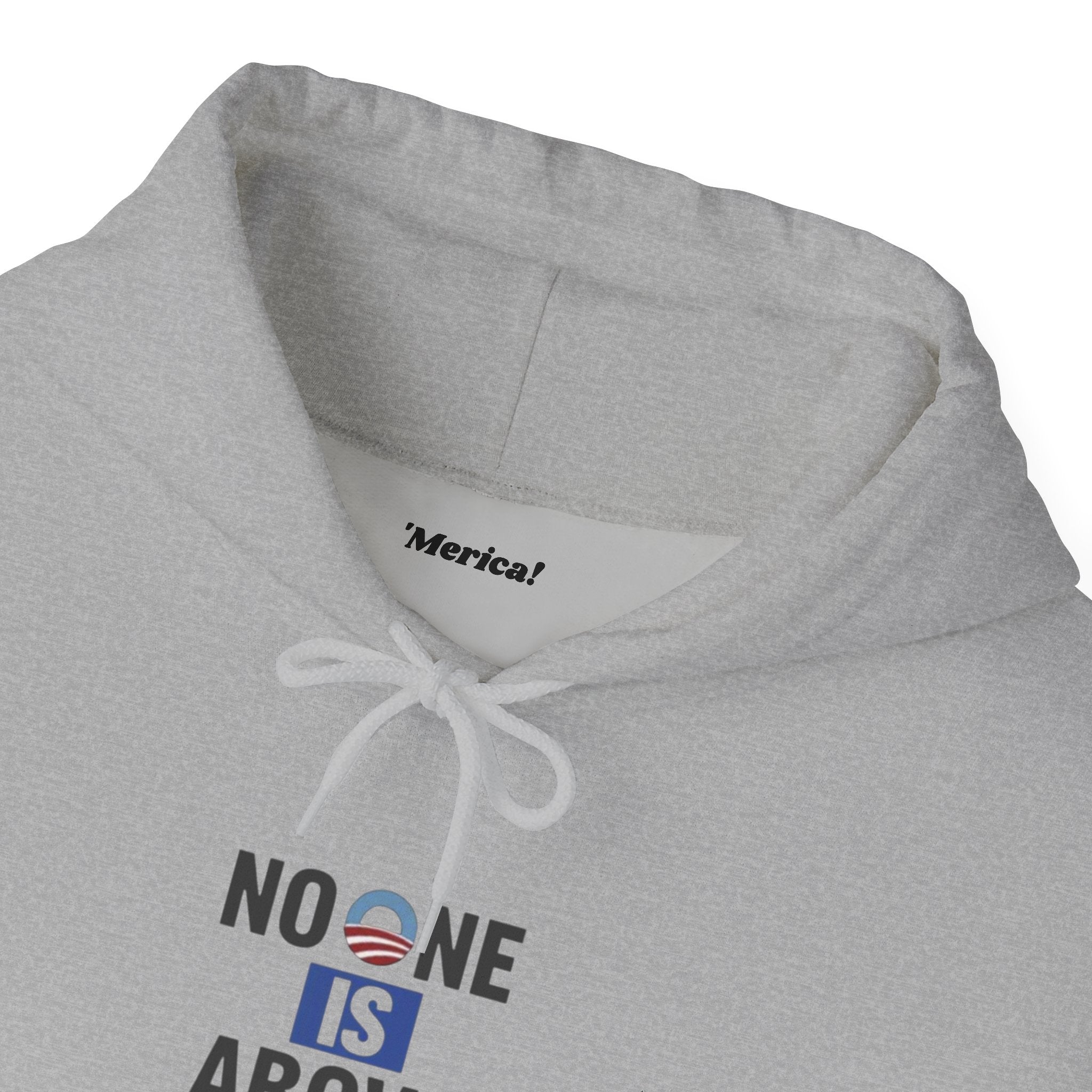 No One Is Above the Law Hoodie