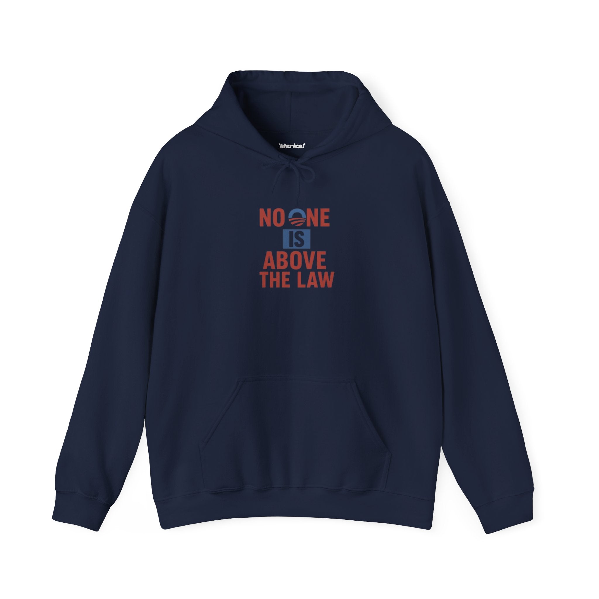 No One Is Above the Law Hoodie