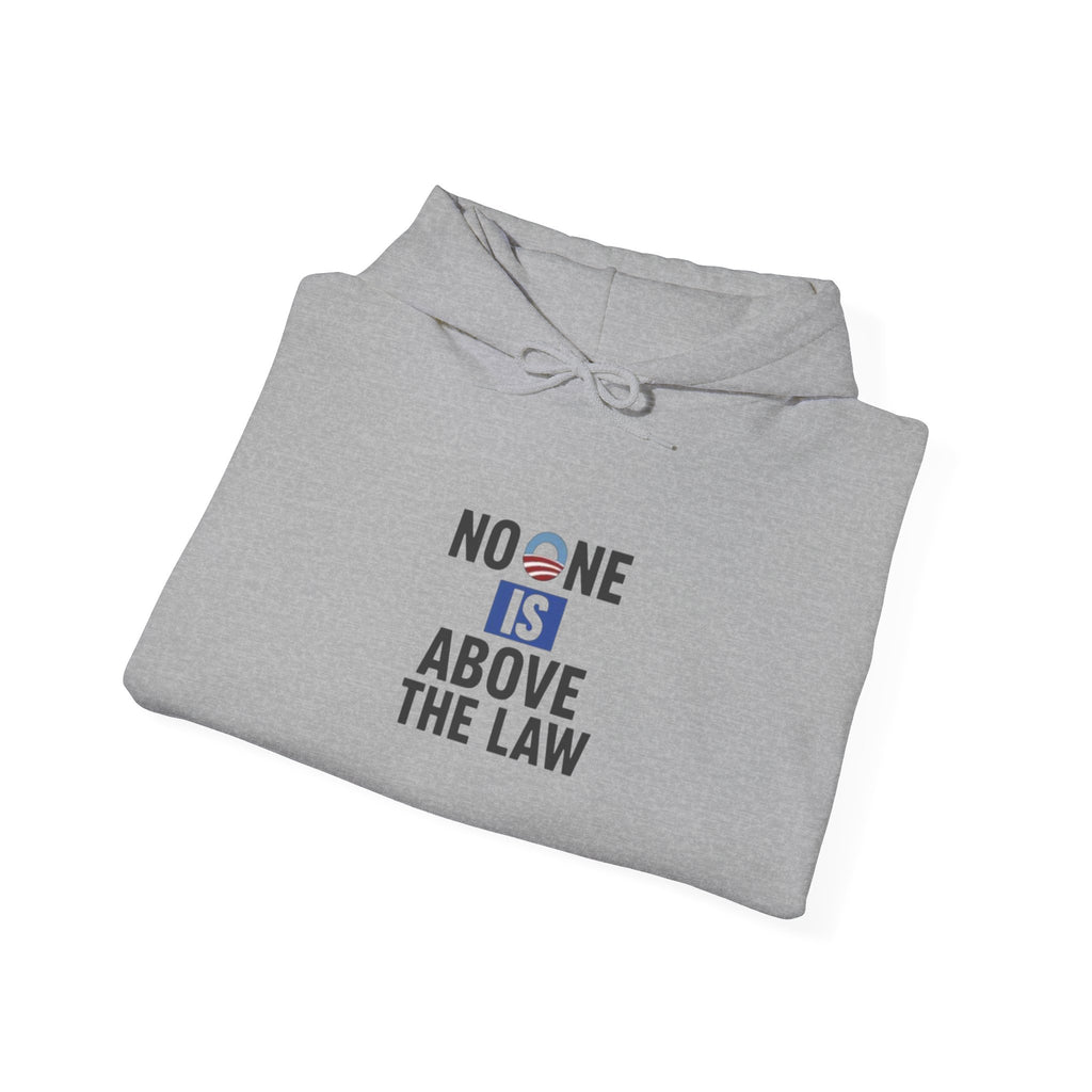 No One Is Above the Law Hoodie