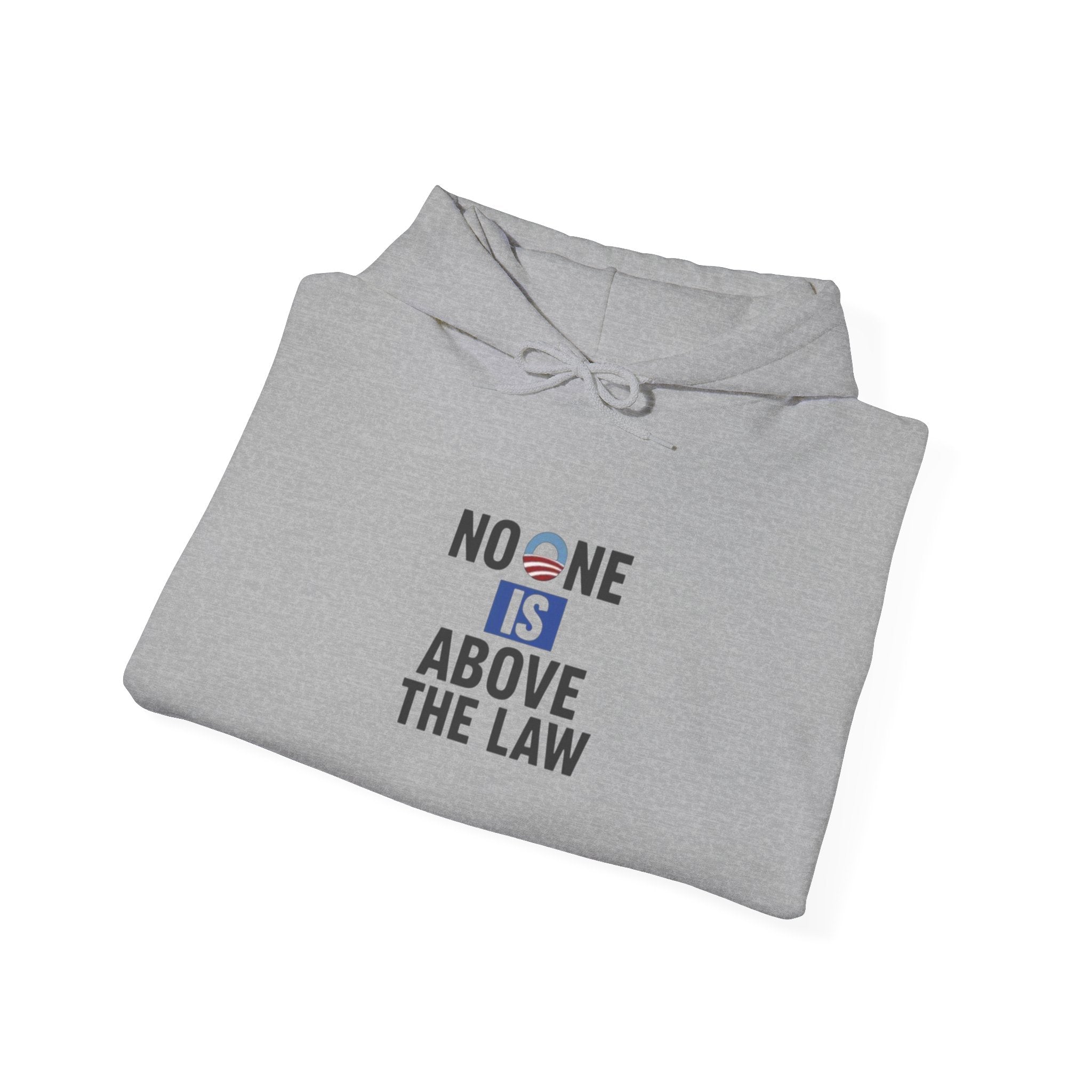 No One Is Above the Law Hoodie