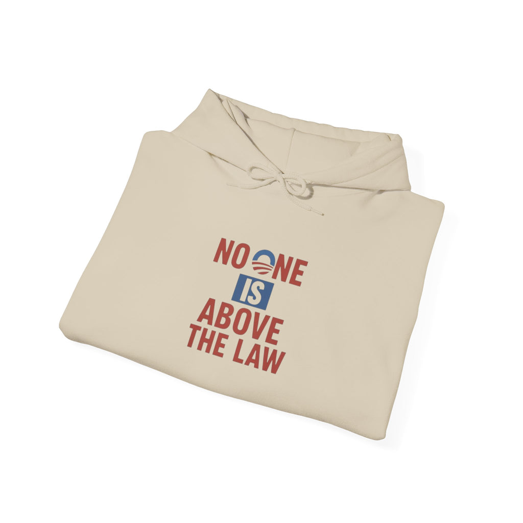 No One Is Above the Law Hoodie