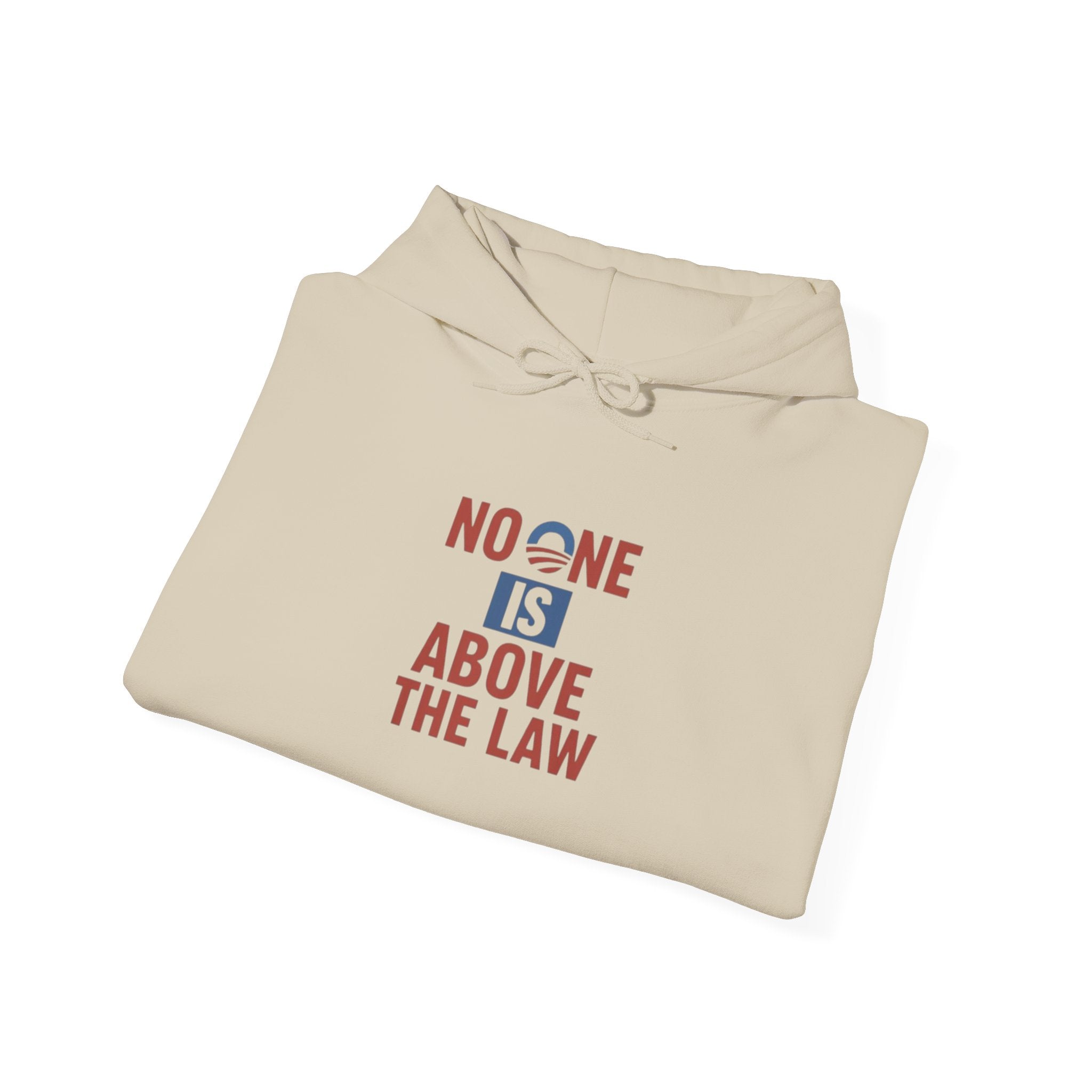 No One Is Above the Law Hoodie