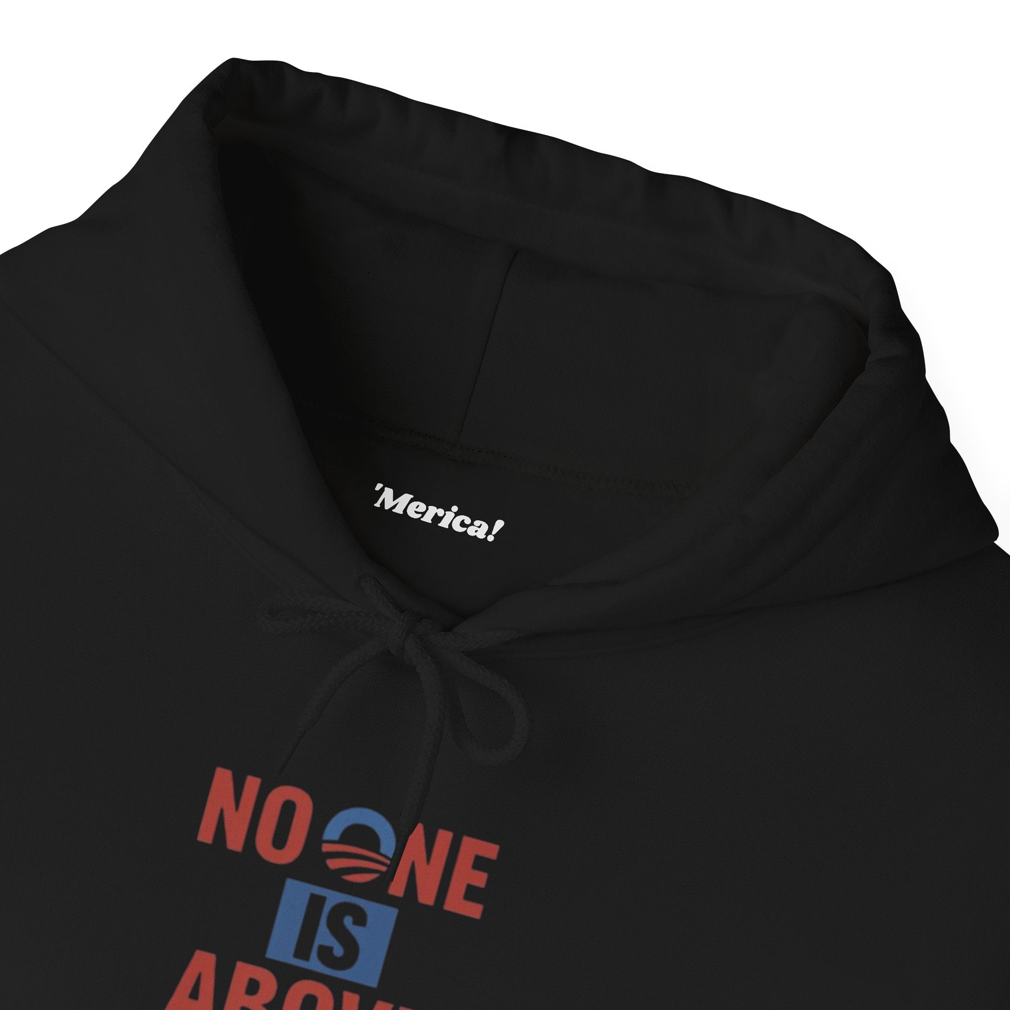 No One Is Above the Law Hoodie