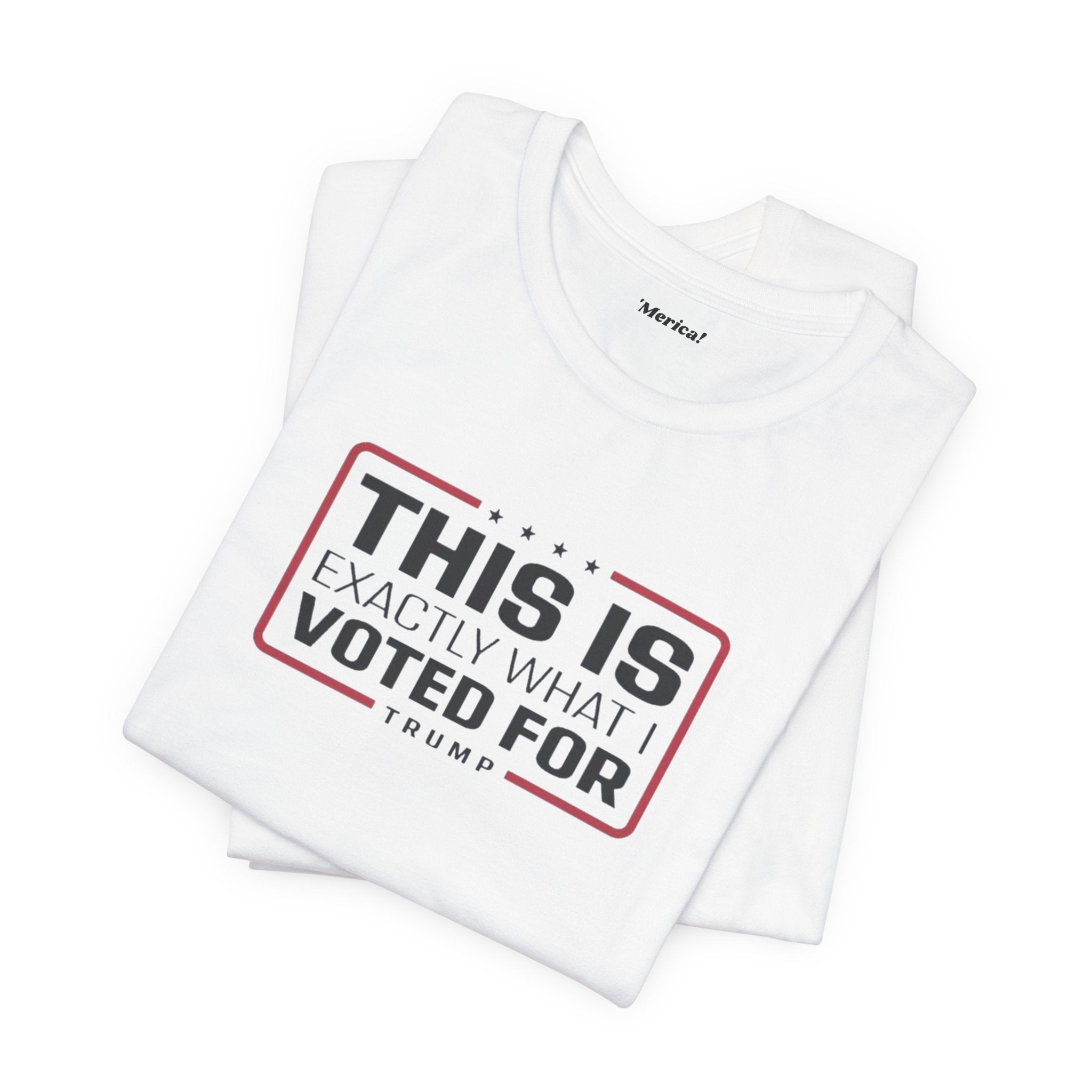 What I Voted For T-Shirt