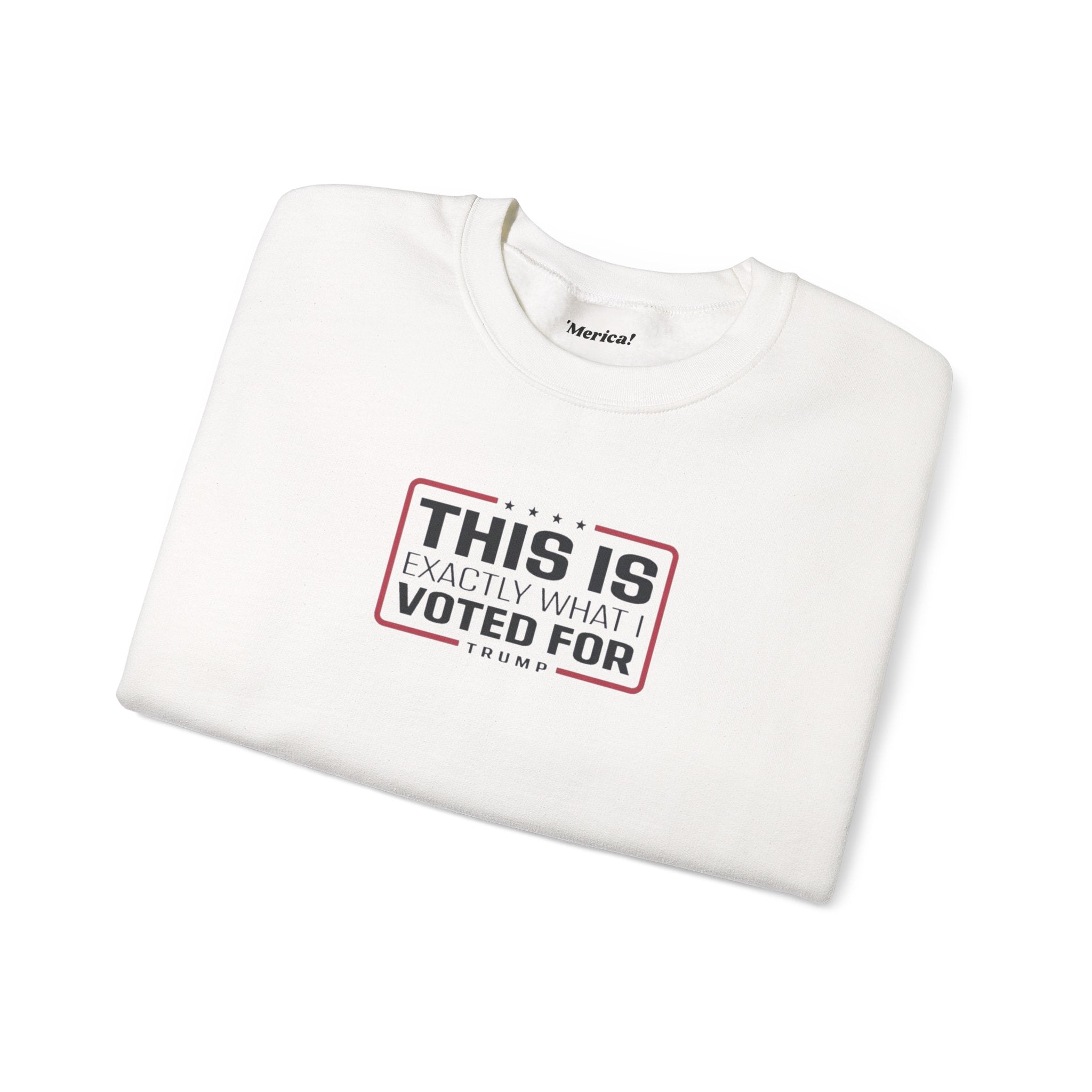 What i Voted for Sweatshirt