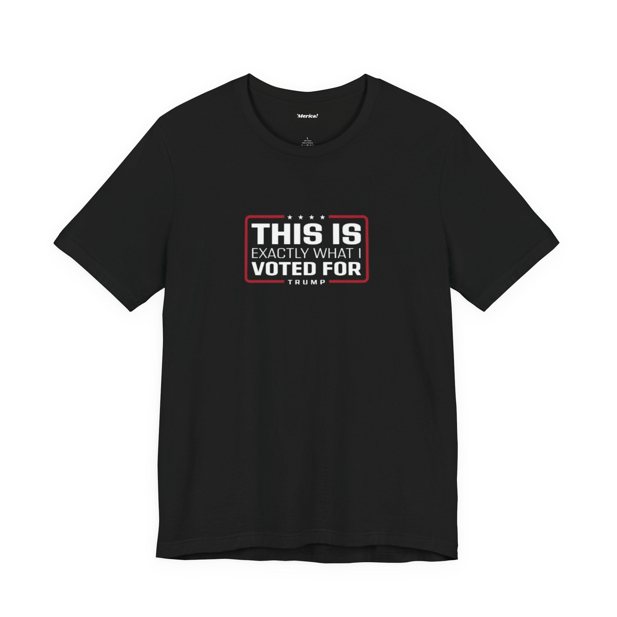 What I Voted For T-Shirt