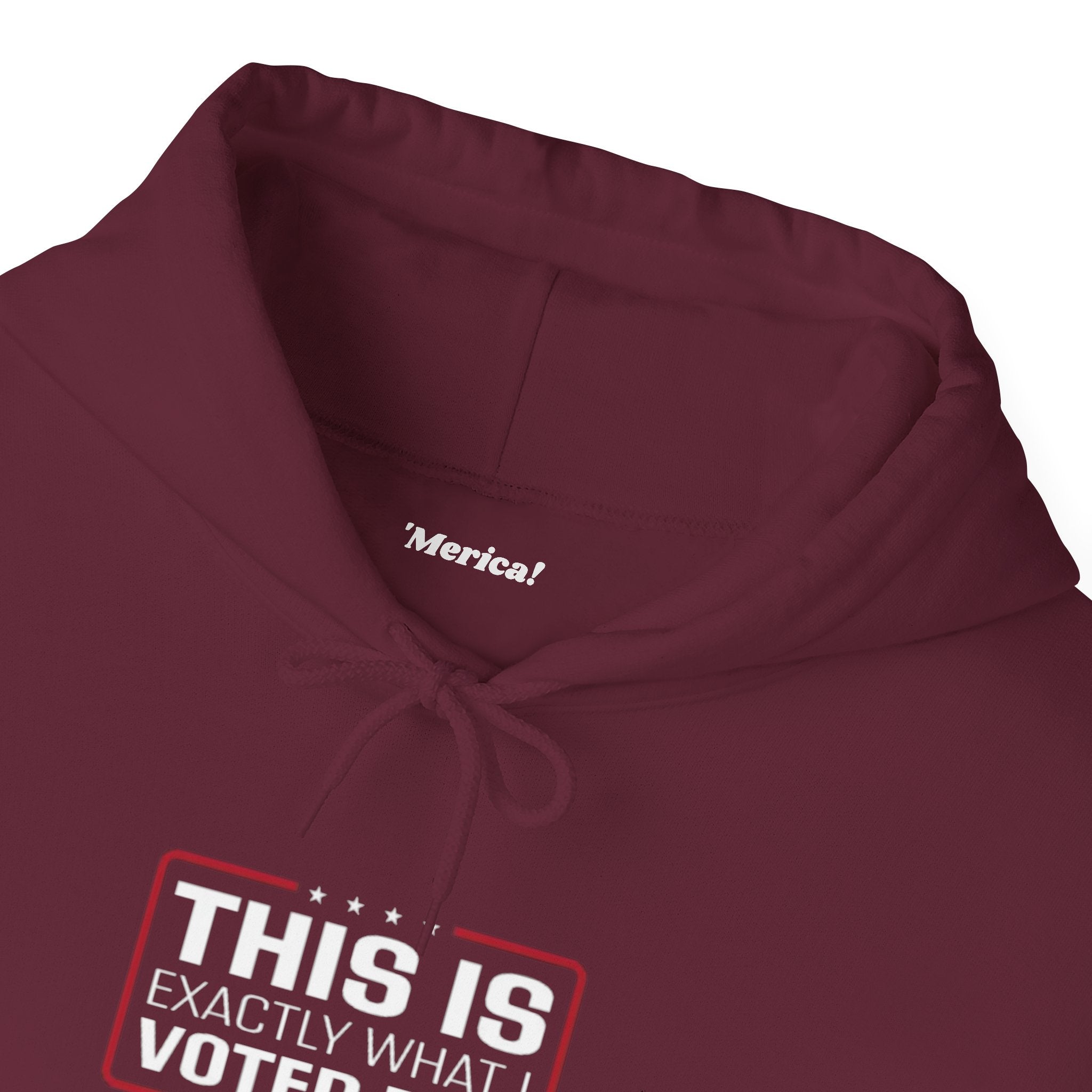 What I Voted for Hoodie