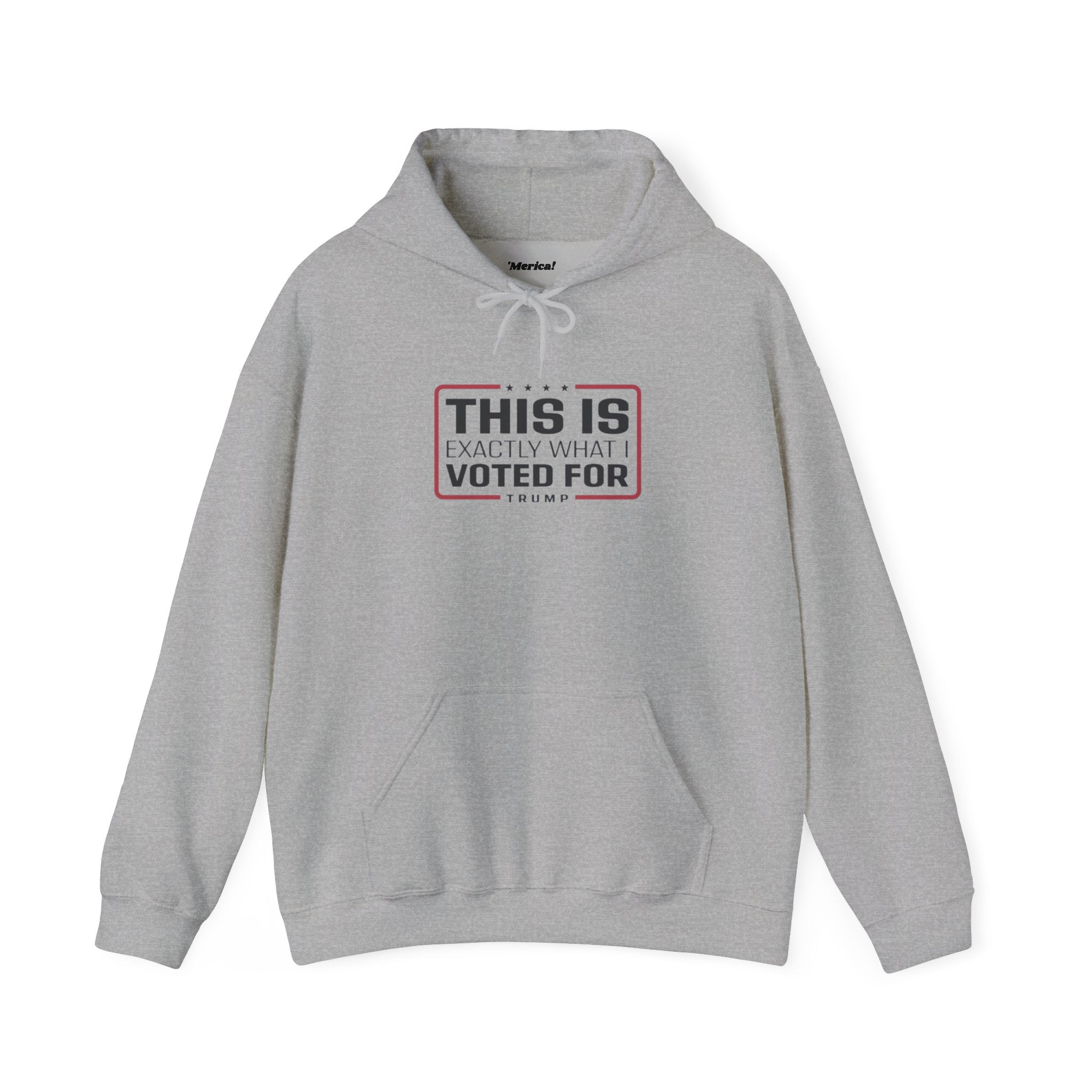 What I Voted for Hoodie
